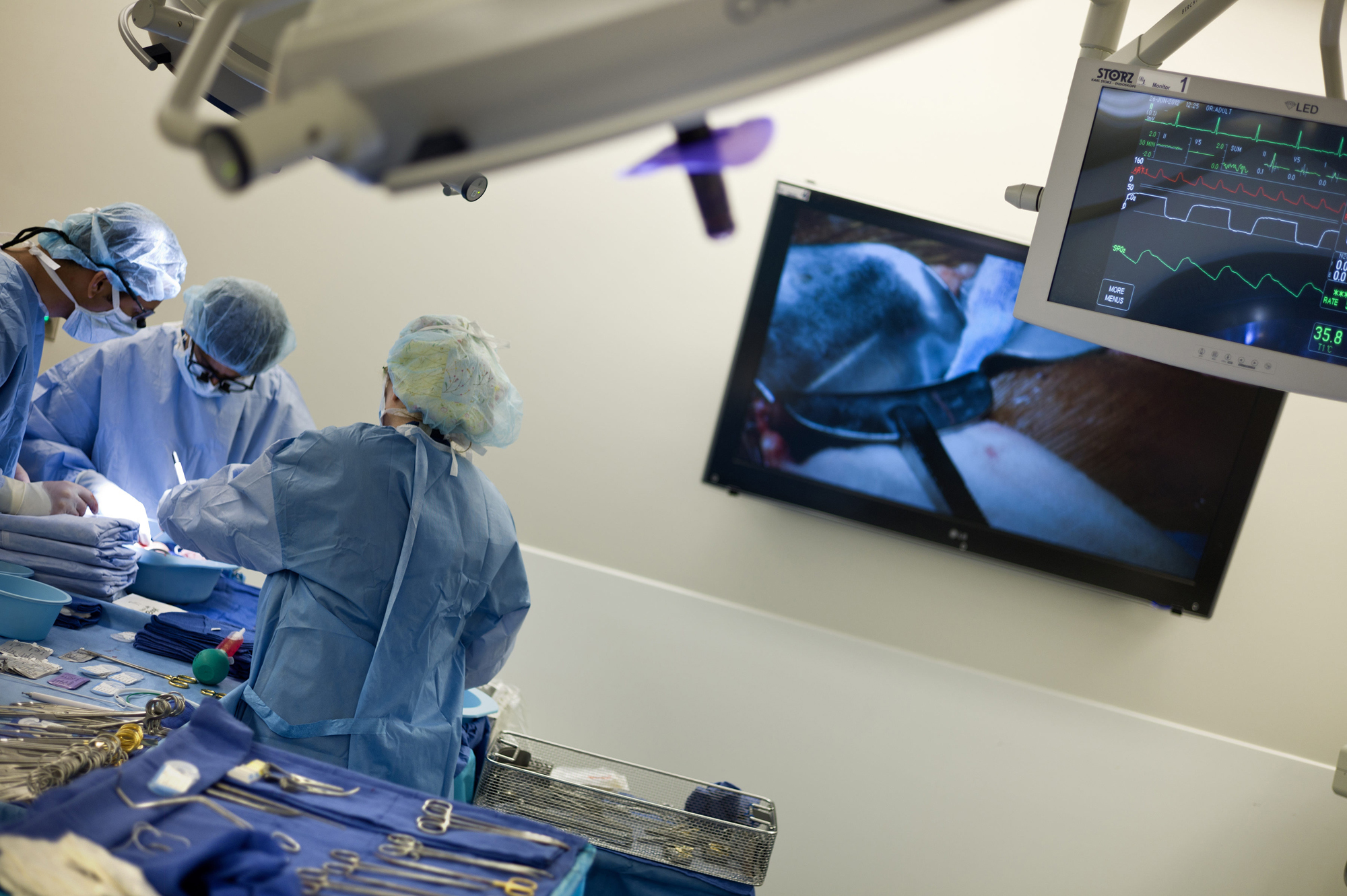Dr. Niraj Desai (C) and others prepare a