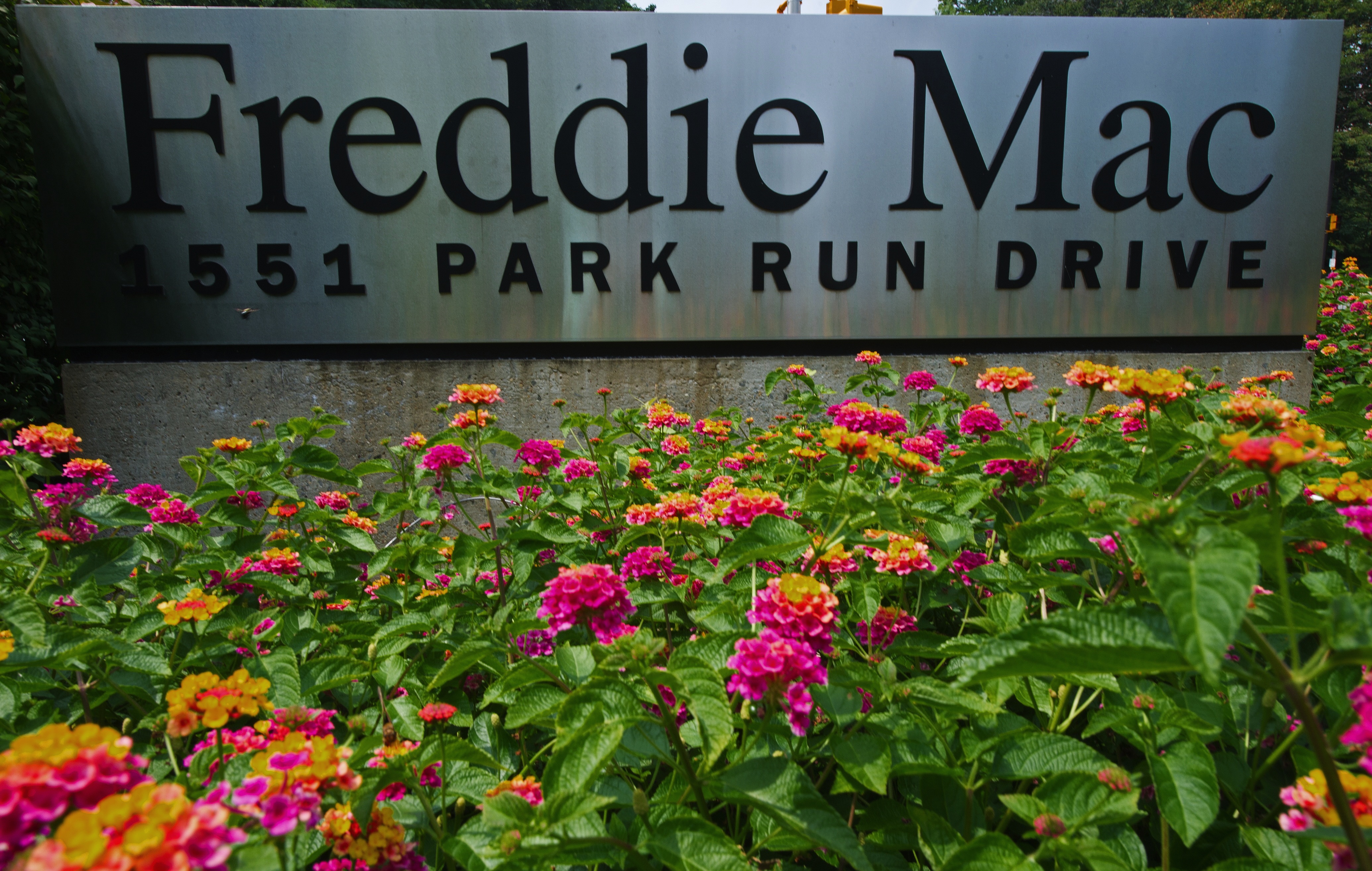Colorful flowers are seen on August 11, 2010, at the entrance to the Freddie Mac offices in McLean, Virginia. Troubled US mortgage firm Freddie Mac reported August 9, 2010 a second quarter net loss of six billion dollars and sought another 1.8 billion dollars from the Treasury to contain the red ink.The government-backed company said its strategies to boost business and "sustainable homeownership" were taking hold but cited high unemployment posing "very real challenges" for the already embattled housing market.      AFP Photo/Paul J. Richards (Photo credit should read PAUL J. RICHARDS/AFP/Getty Images)