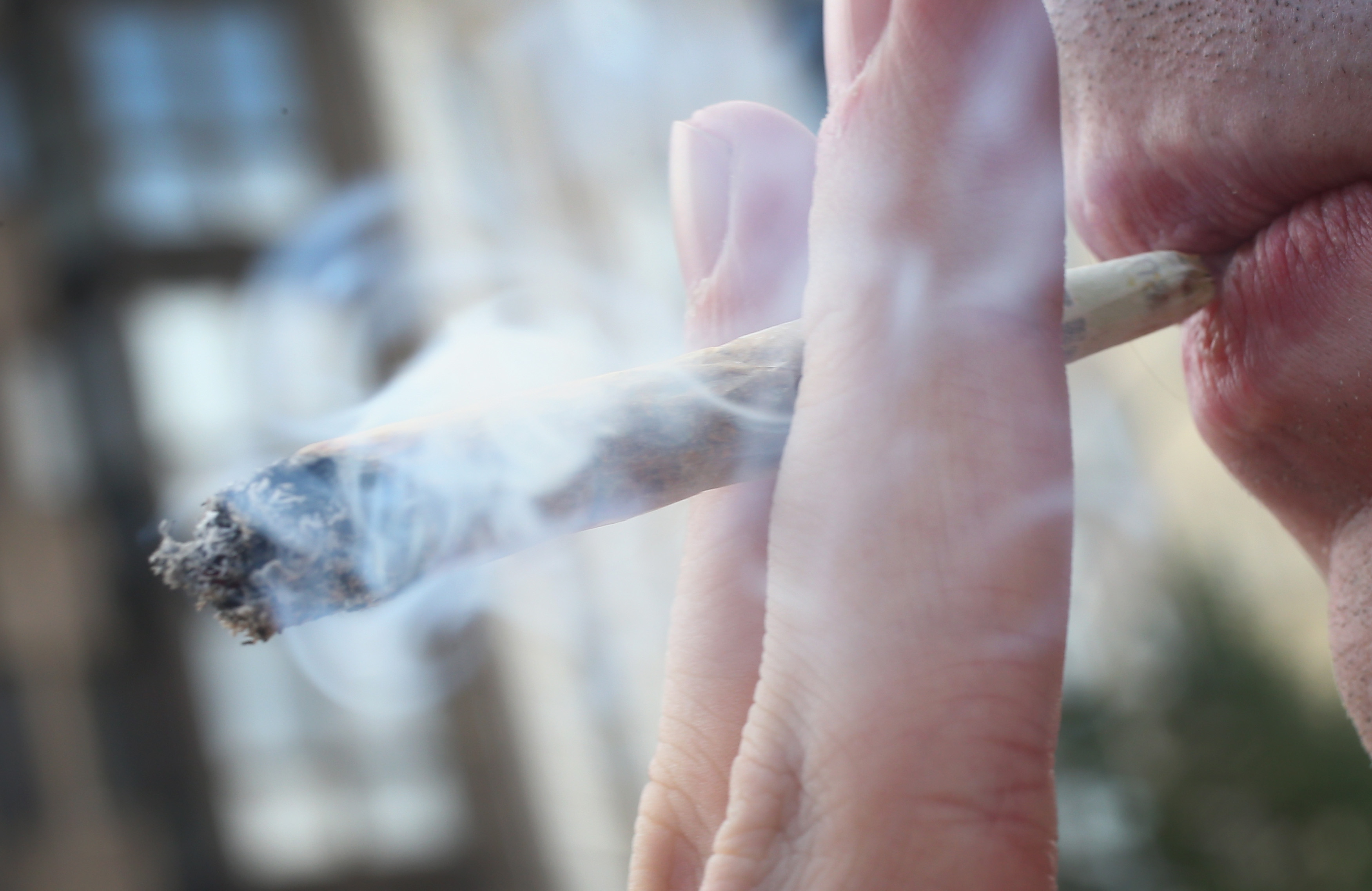 Cannabis Supporters Hope For Legalization