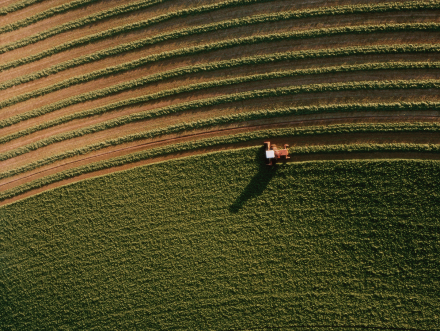 Farming alfalfa harvest