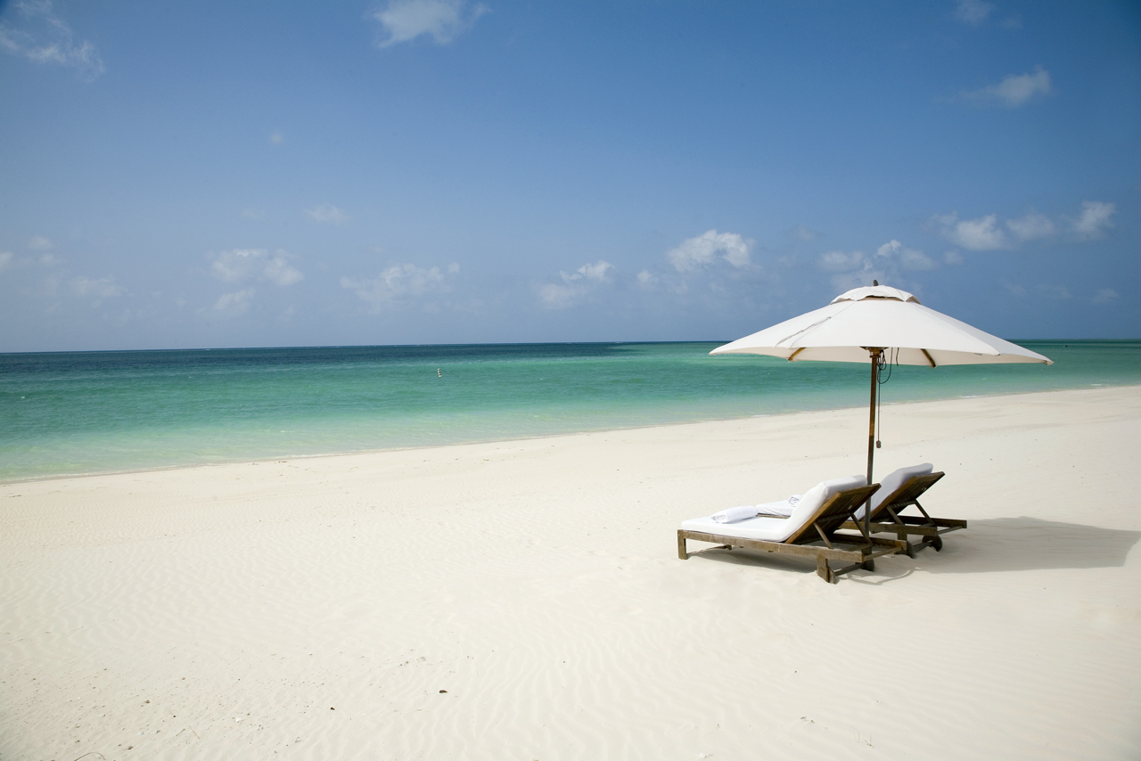 parrot cay