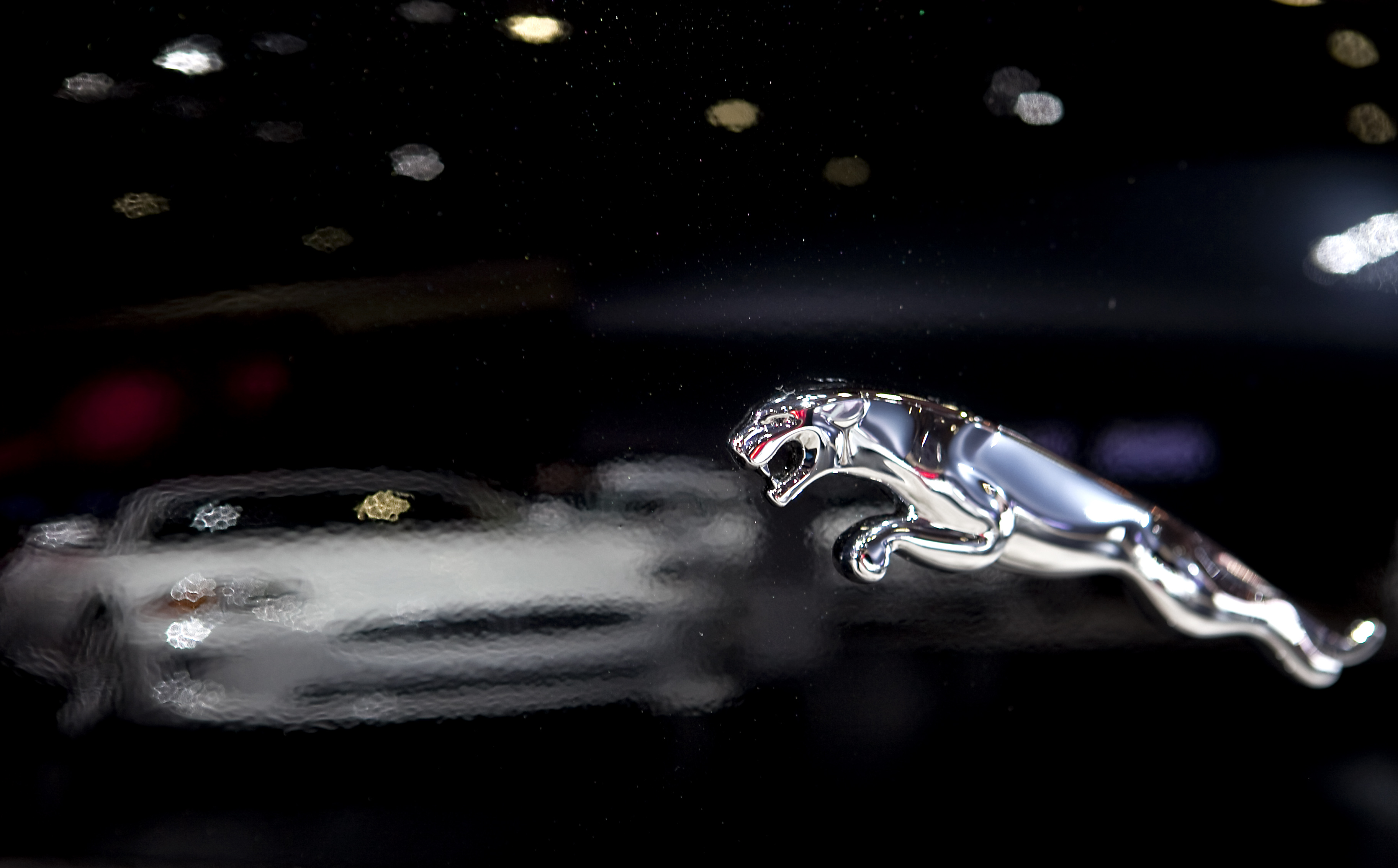 Detroit Auto Show Previews Newest Car Models From Around The World