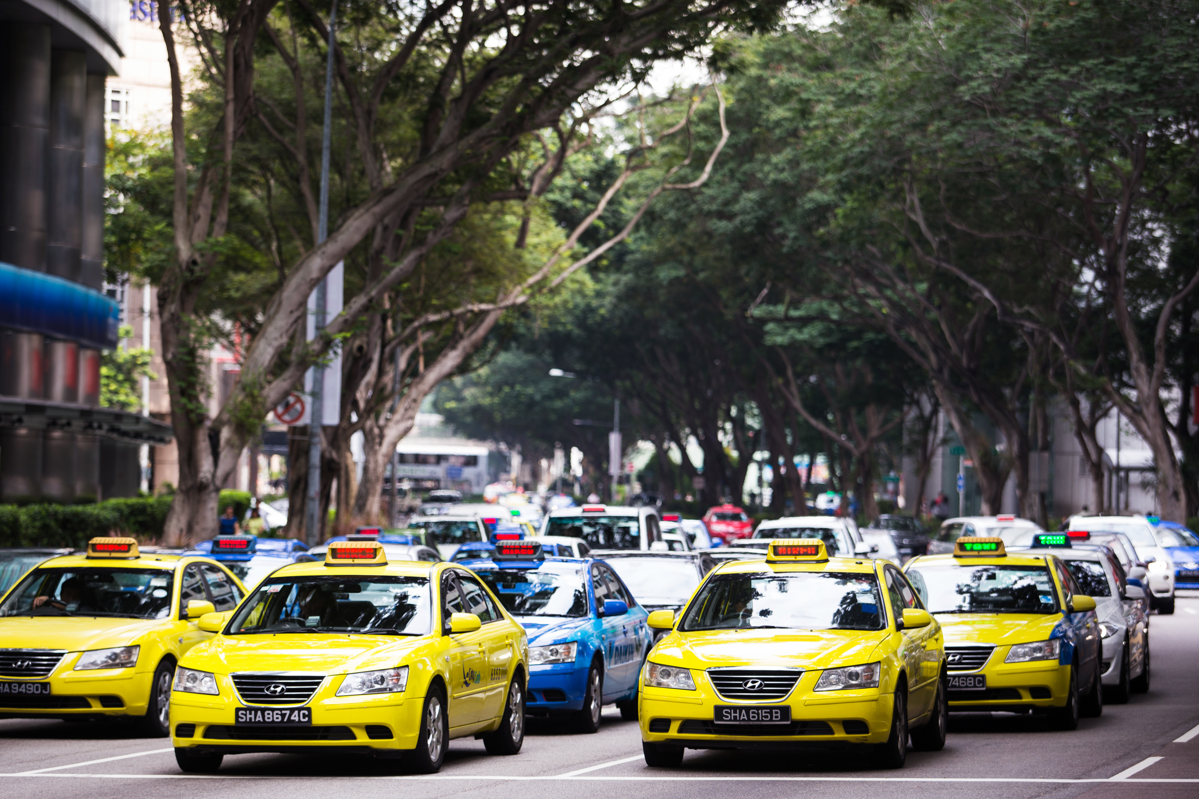 Easy Taxi Servicos SA Chief Executive Officer Dennis Wang Interview
