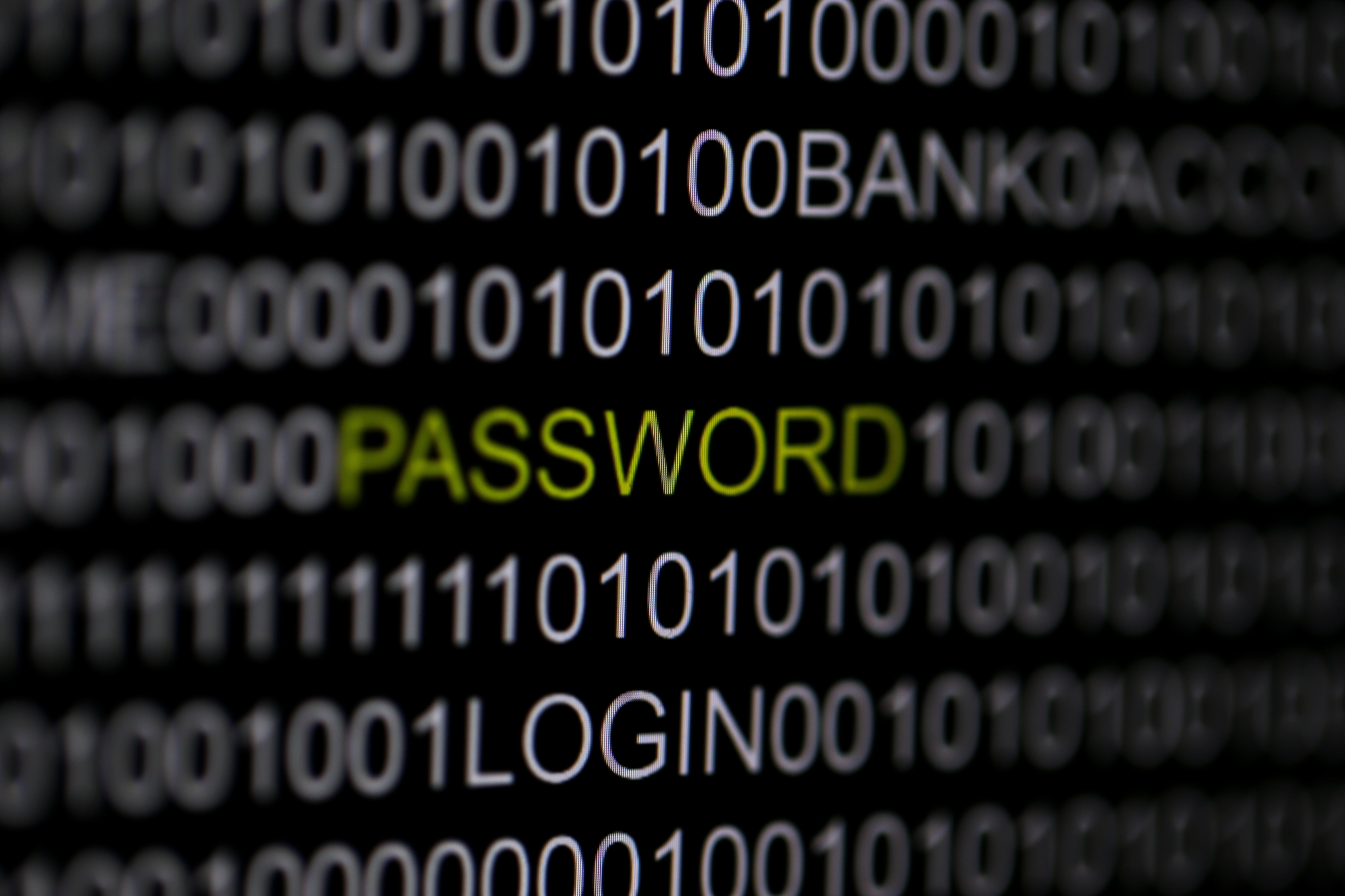 The word 'password' is pictured on a computer screen in this picture illustration taken in Berlin