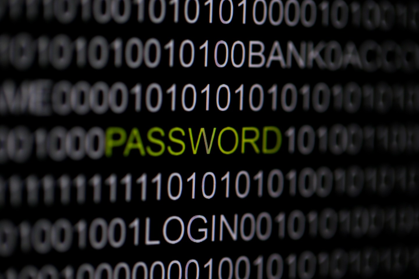 The word 'password' is pictured on a computer screen in this picture illustration taken in Berlin