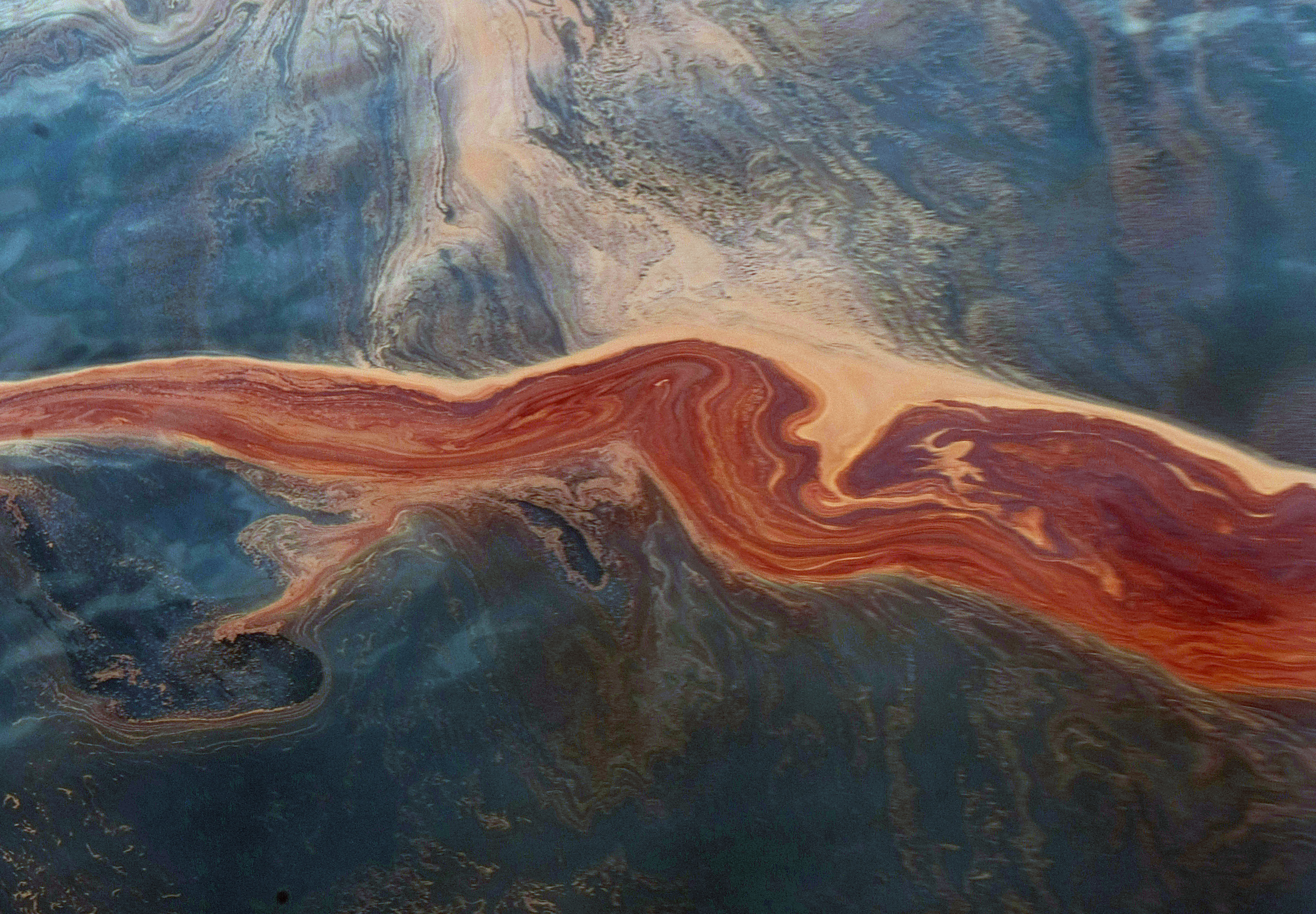 Gulf Oil Spill