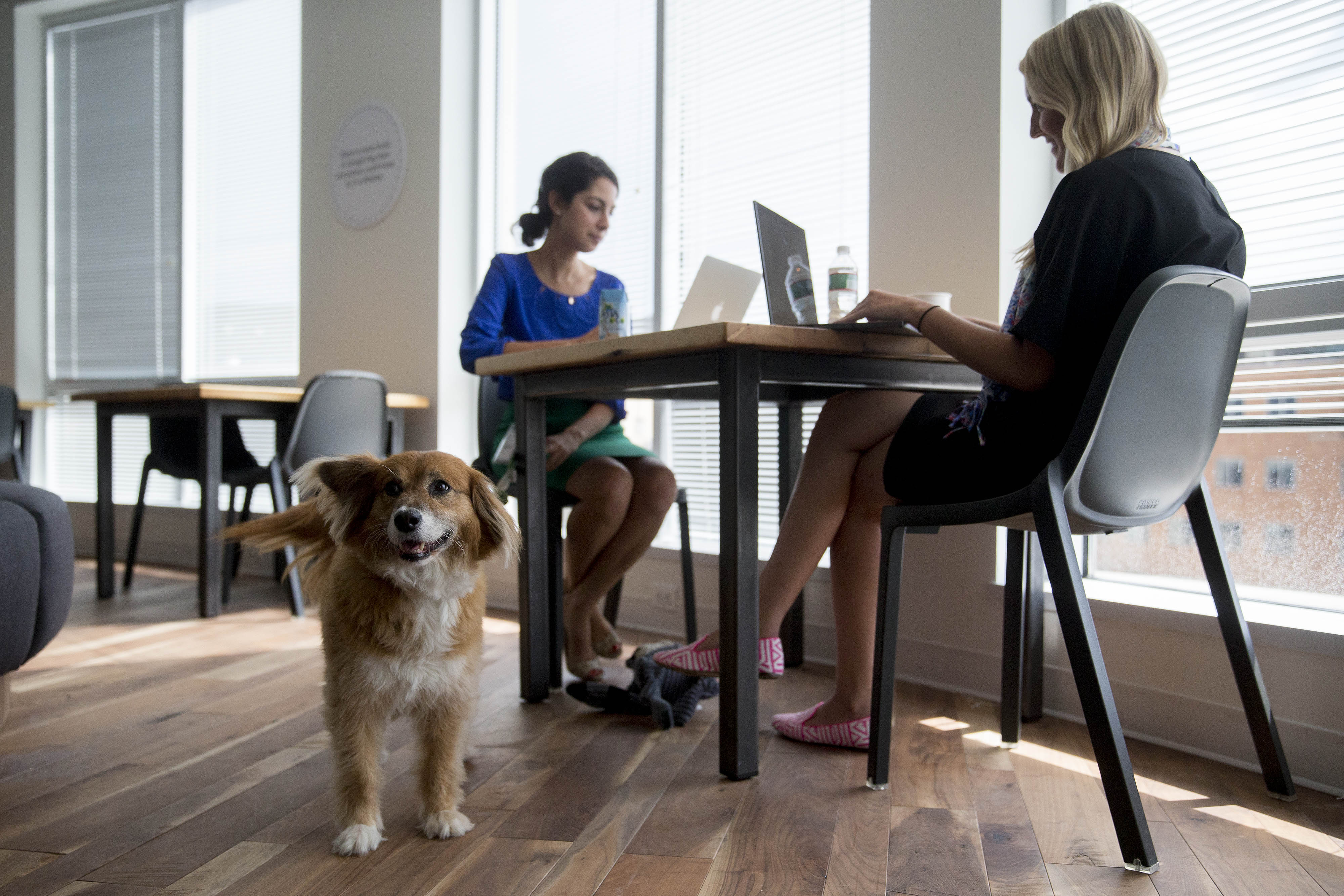 Google Brings Quirk And Clout To New DC Digs