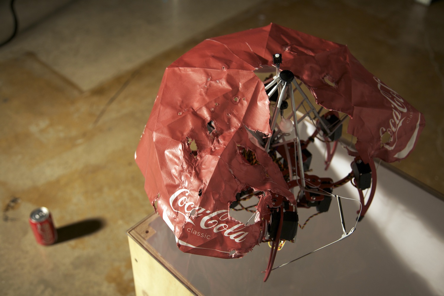 Matt Kenyon Coke Is It art