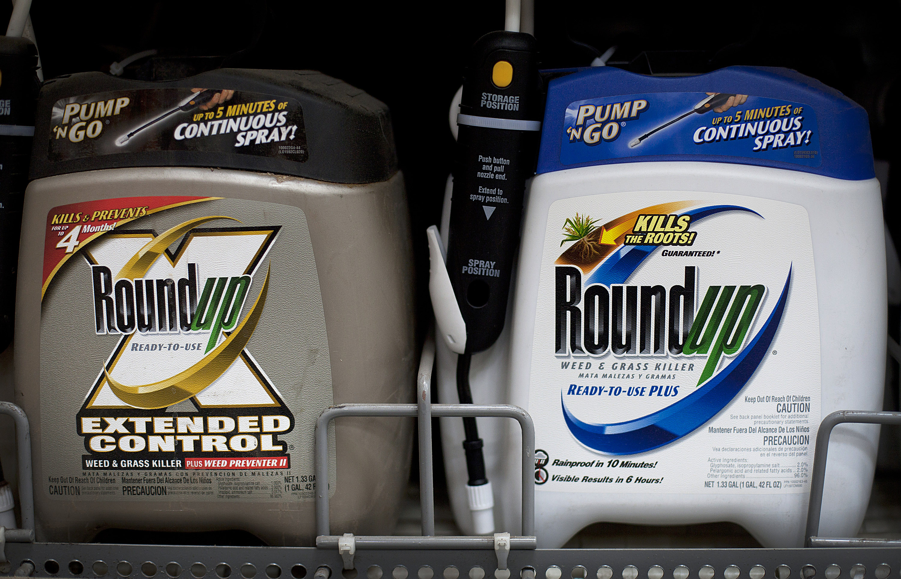 Monsanto Releases First-Quarter Earnings