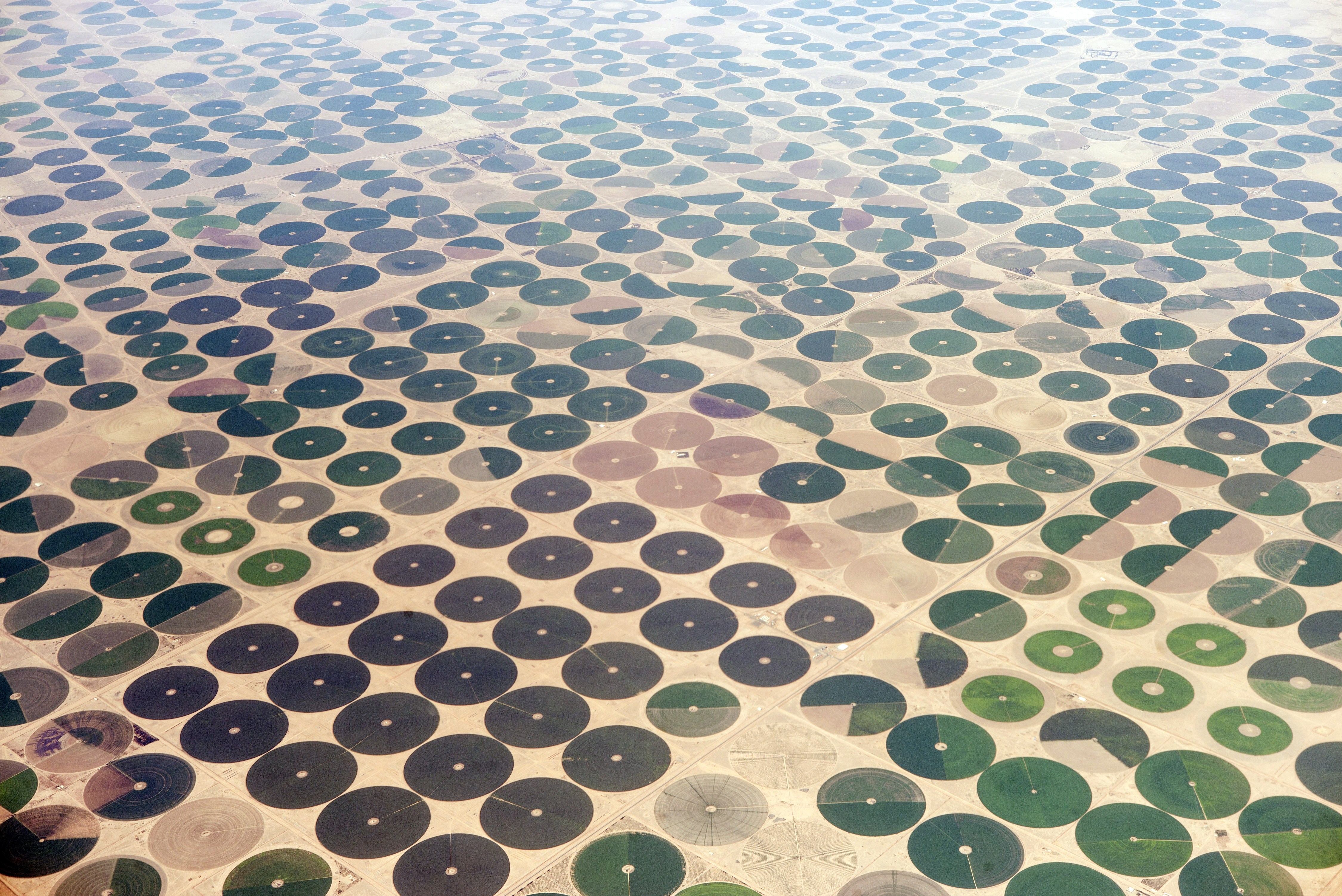 SAUDI-FEATURE-FARM