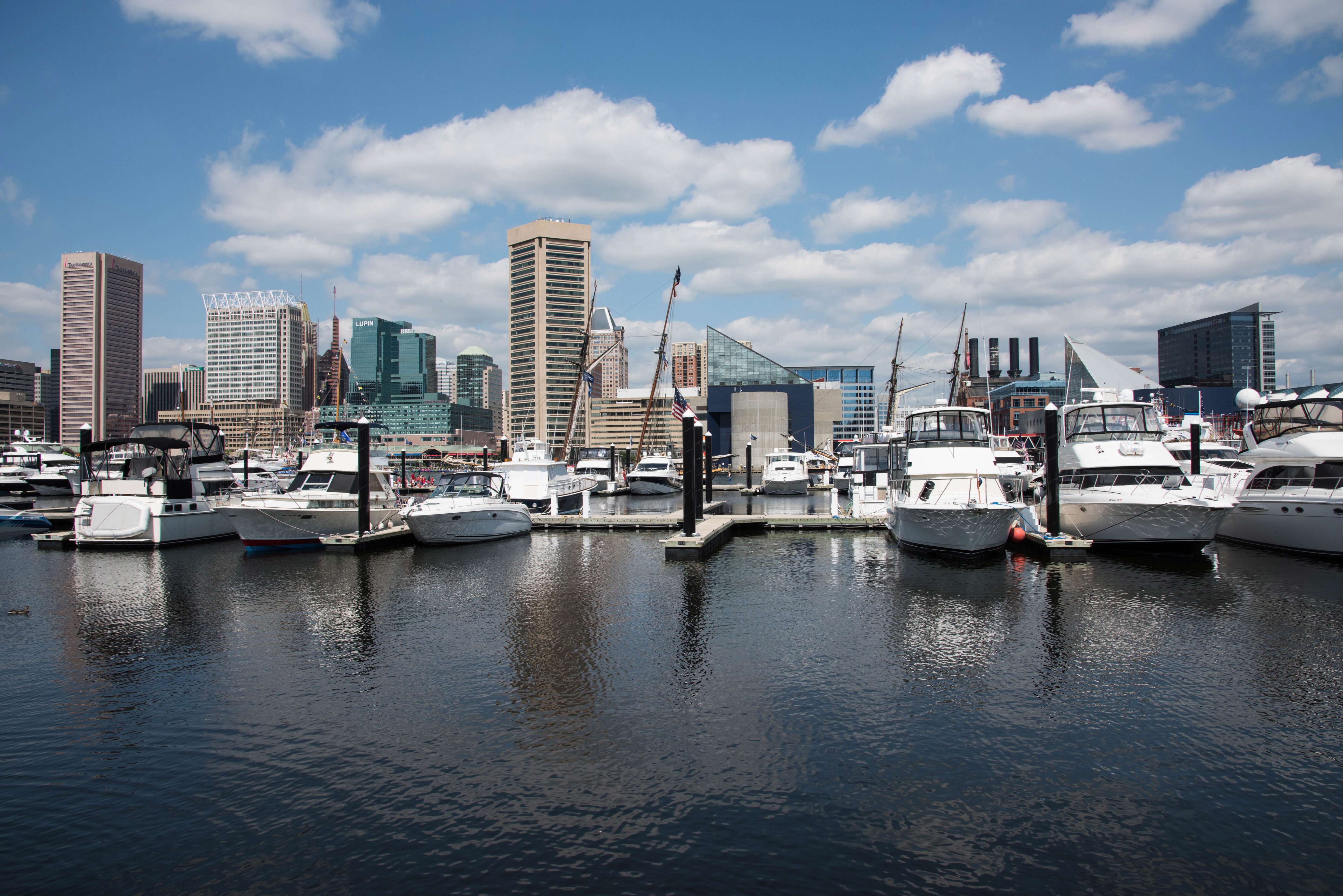 Pleasure boats tied up in Baltimore harbor, Maryland