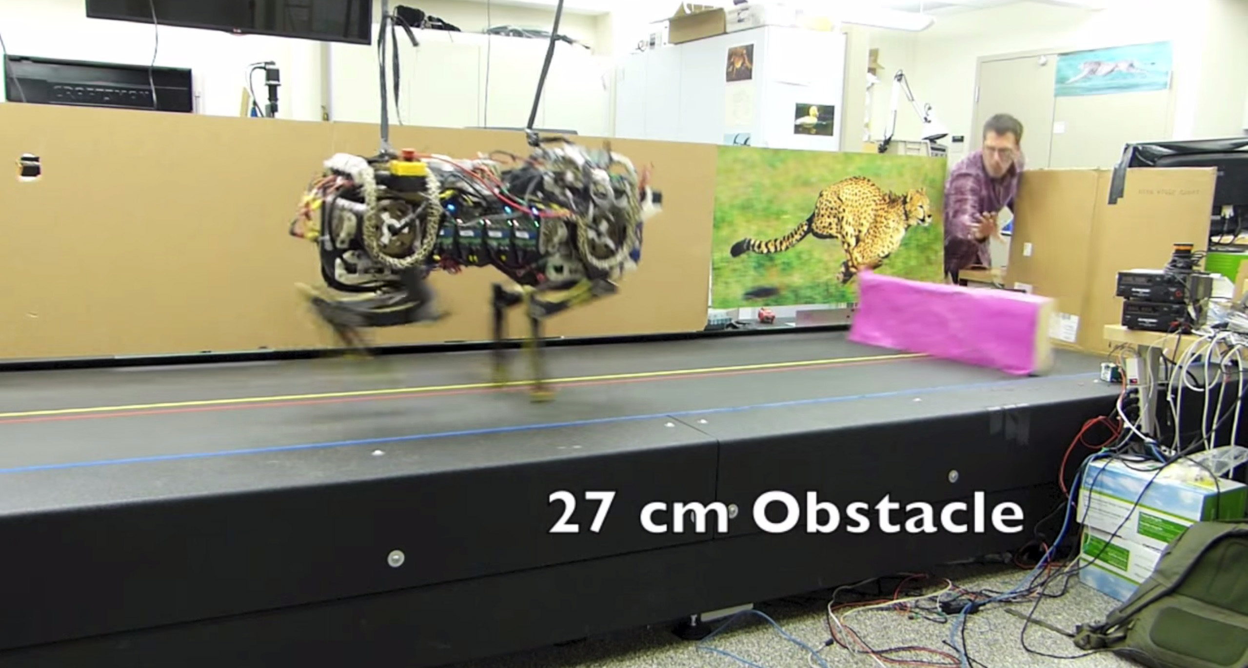 Cheetah Robot