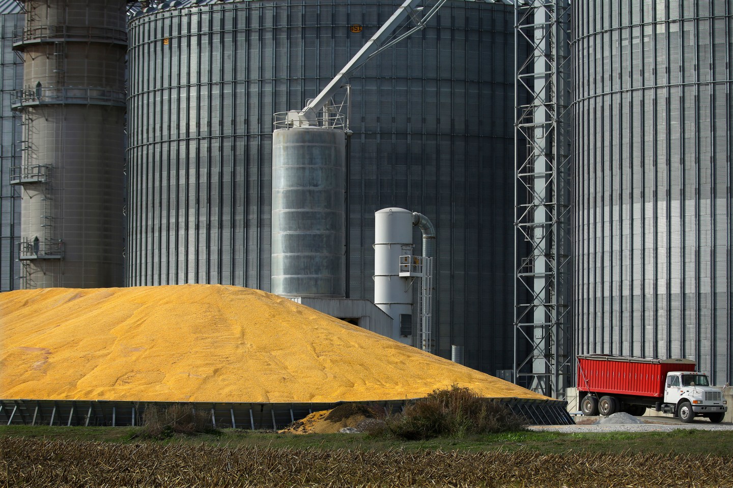Illinois Harvest