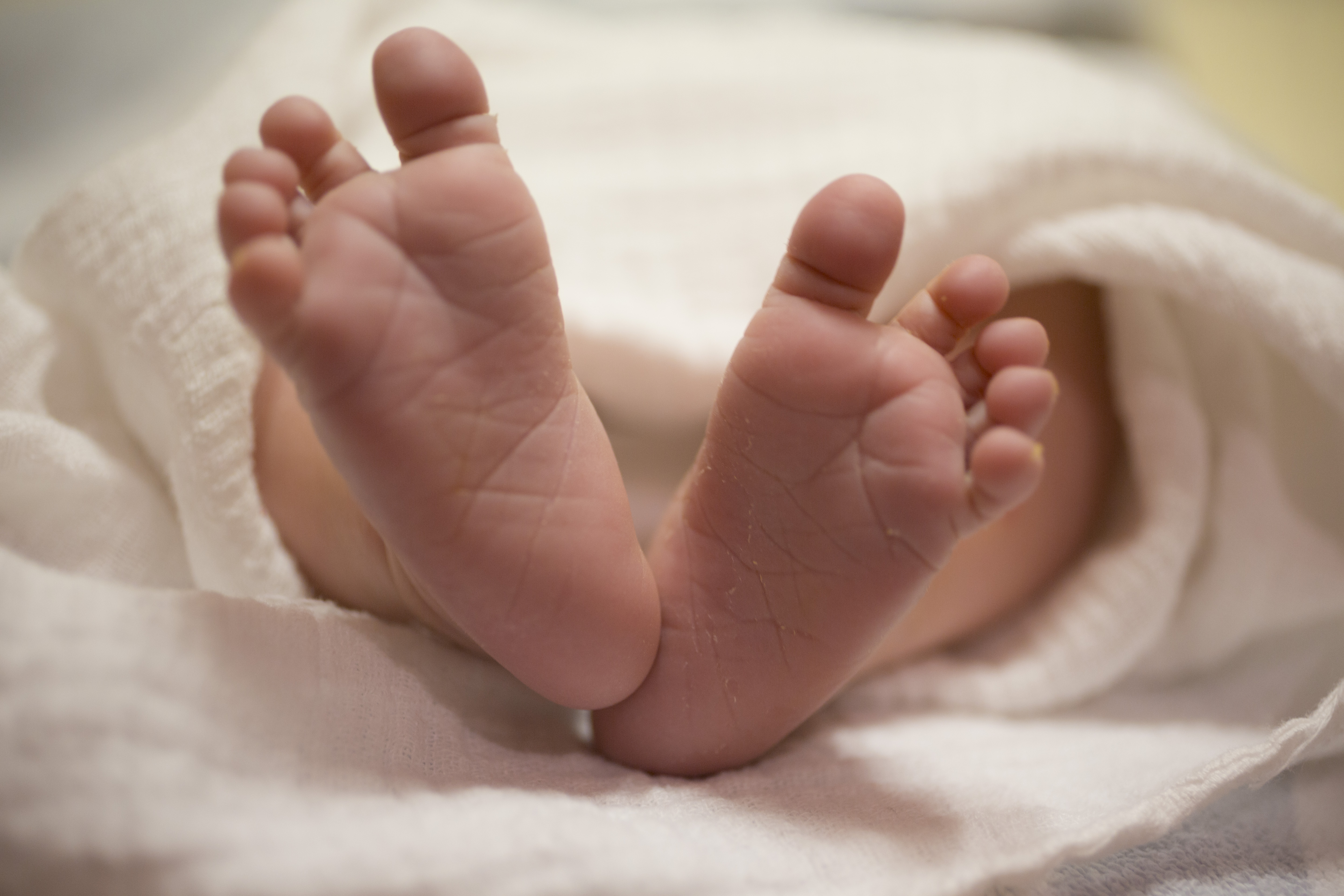 Baby Feet