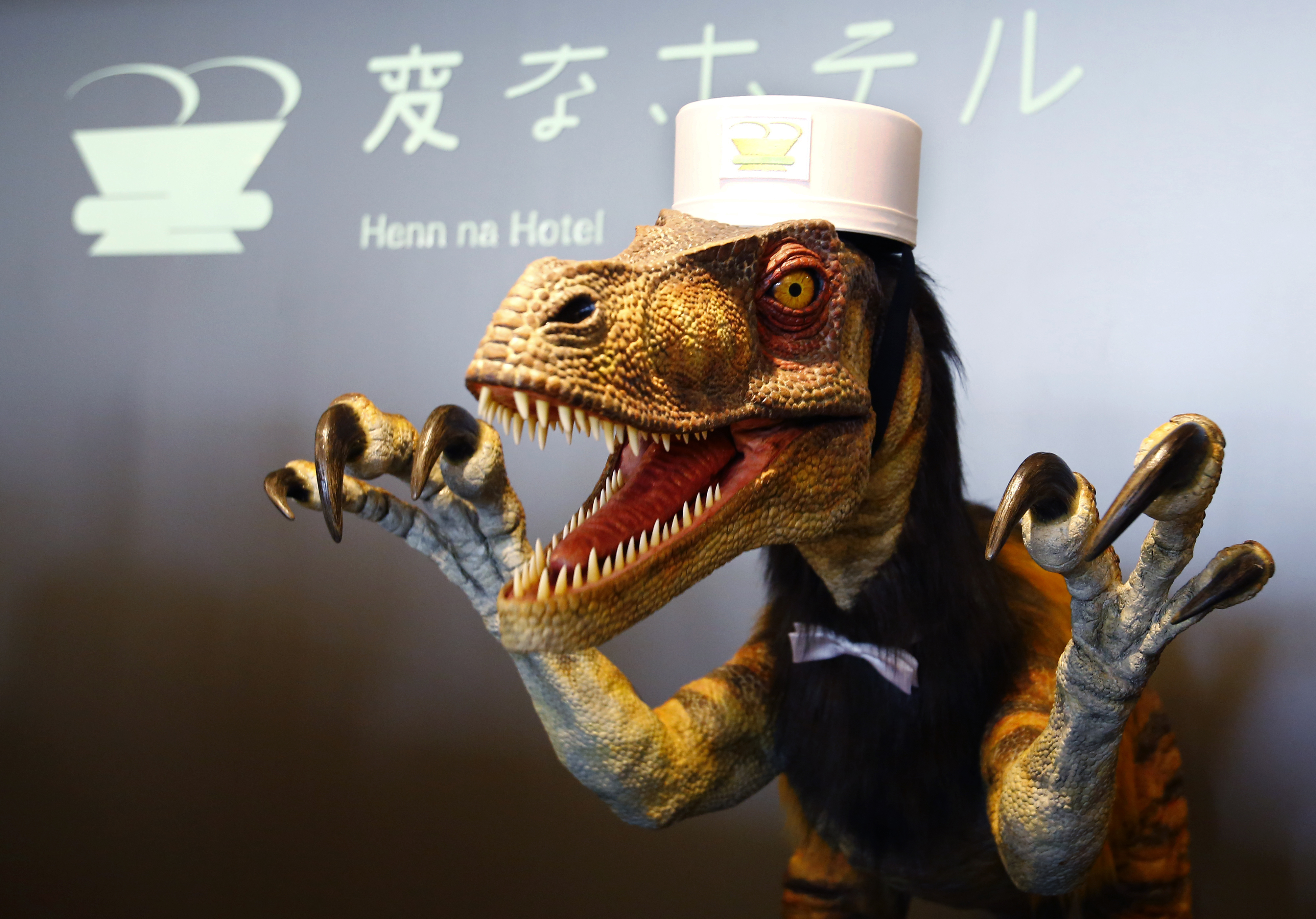 APTOPIX Japan Robot Hotel