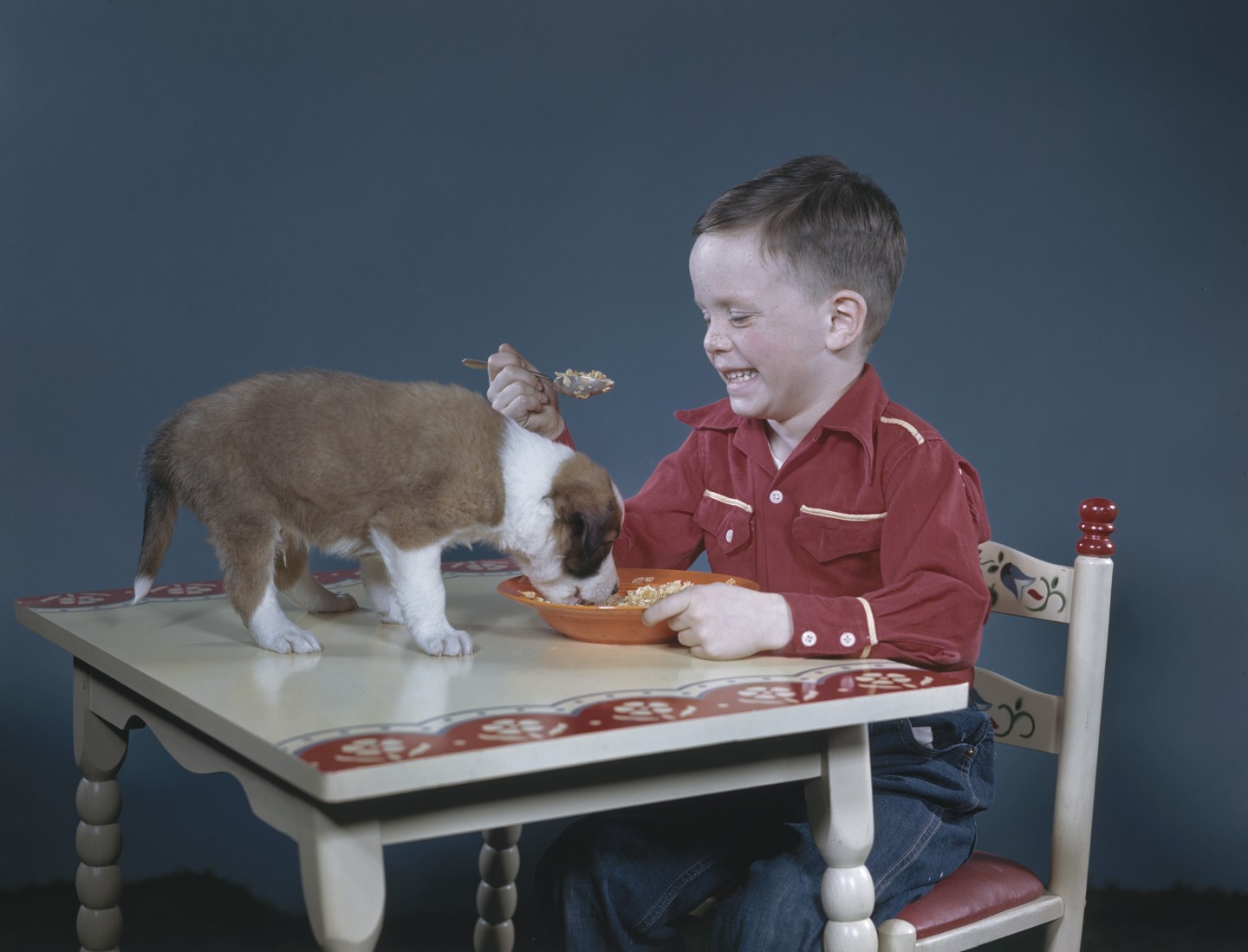 Dog's Breakfast