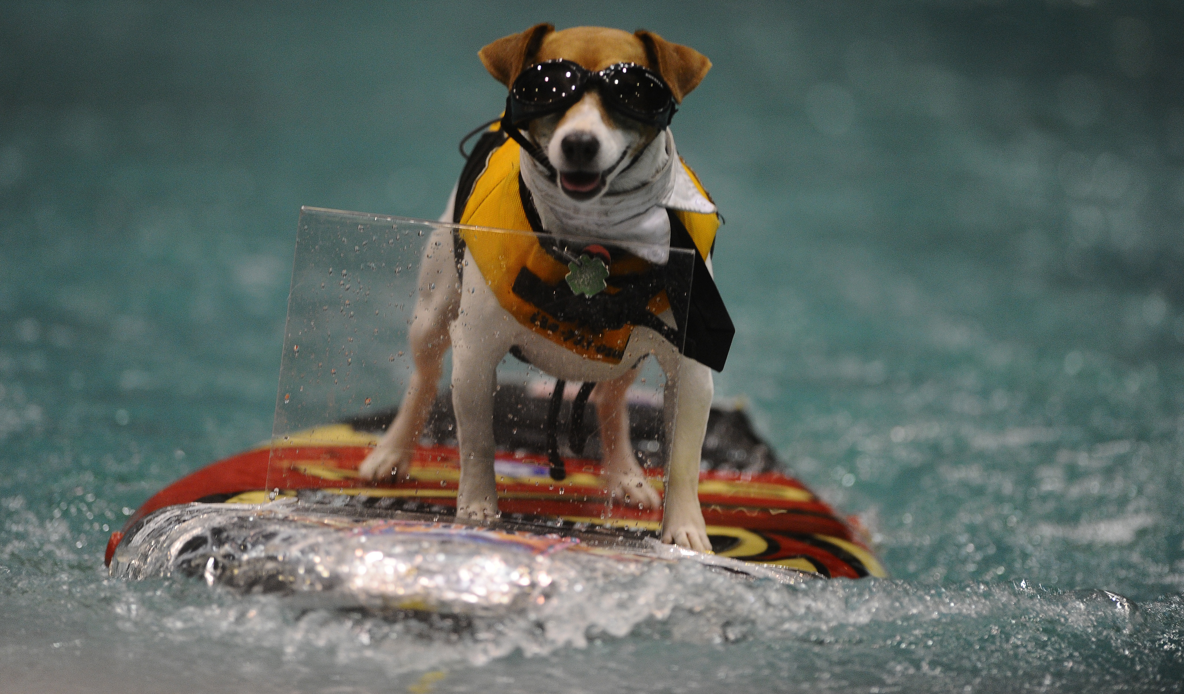 JAN 20th 2012.pics of . with this cold spell the 54th annual Toronto International Boat Show is wrap