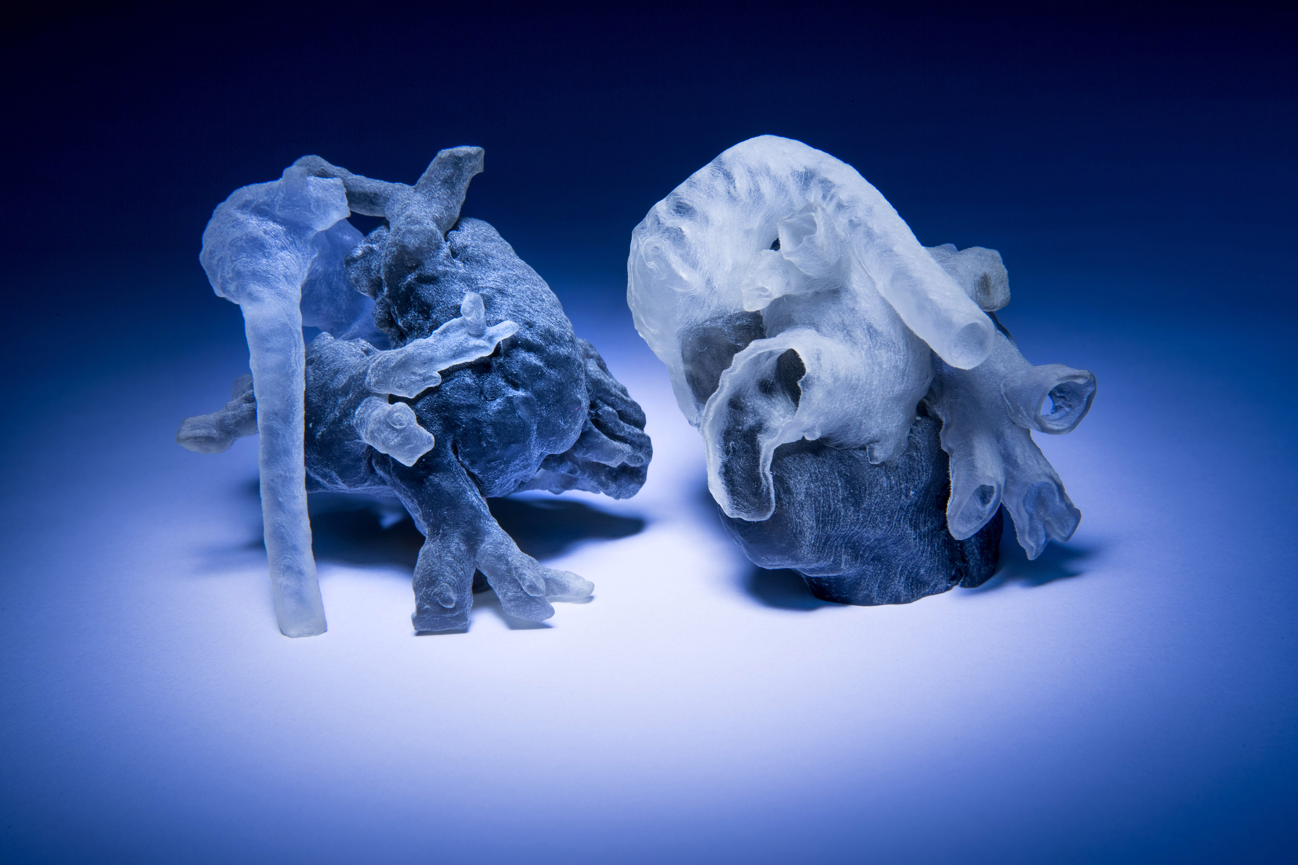 3D printed heart. Polina Golland, Mehdi, Hedjazi Moghari, Danielle Pace. MIT, Children's Hospital. © Bryce Vickmark. All rights reserved. www.vickmark.com 617.448.6758