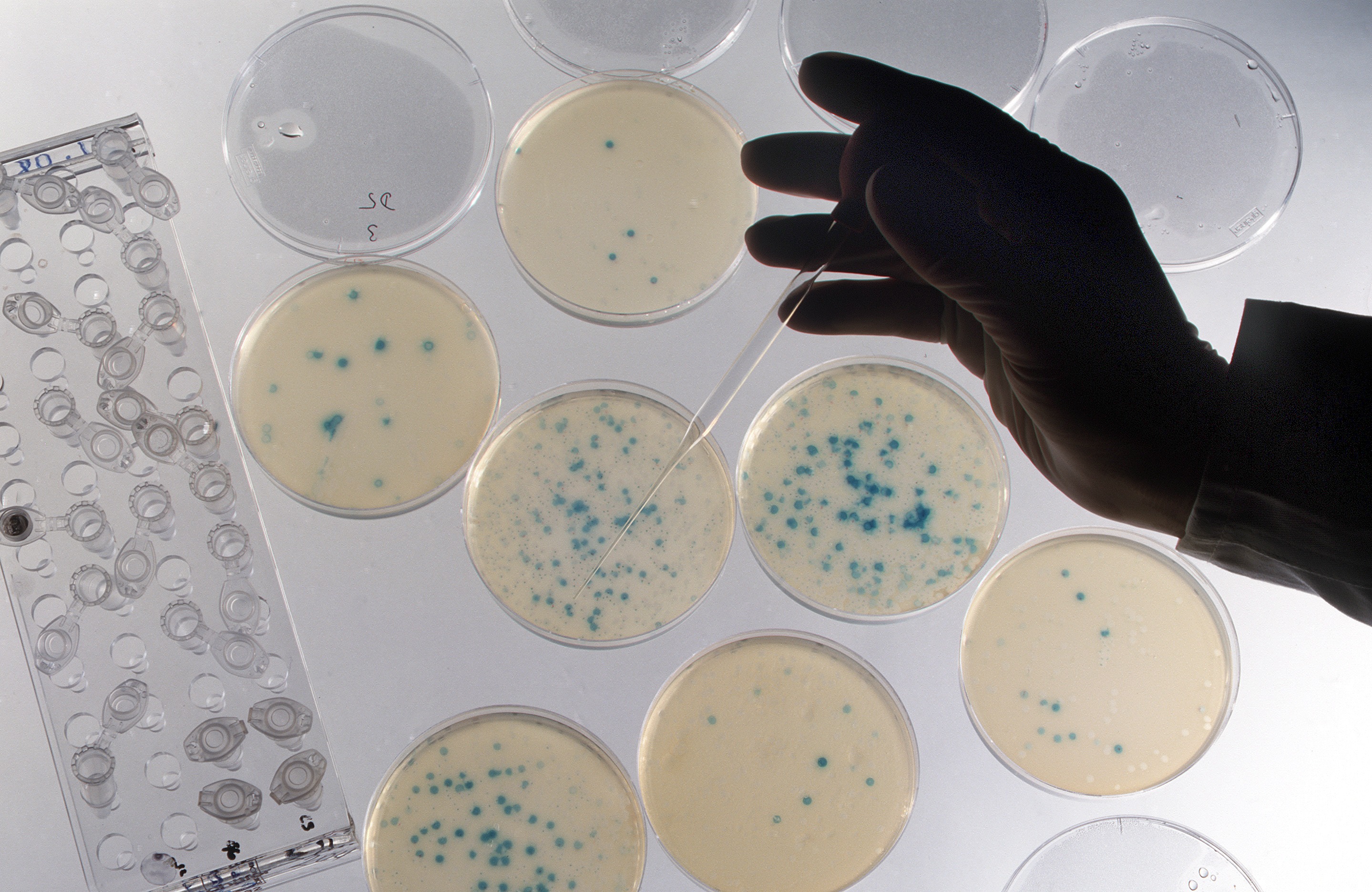 Symbolic - biotechnology - genetic engineering