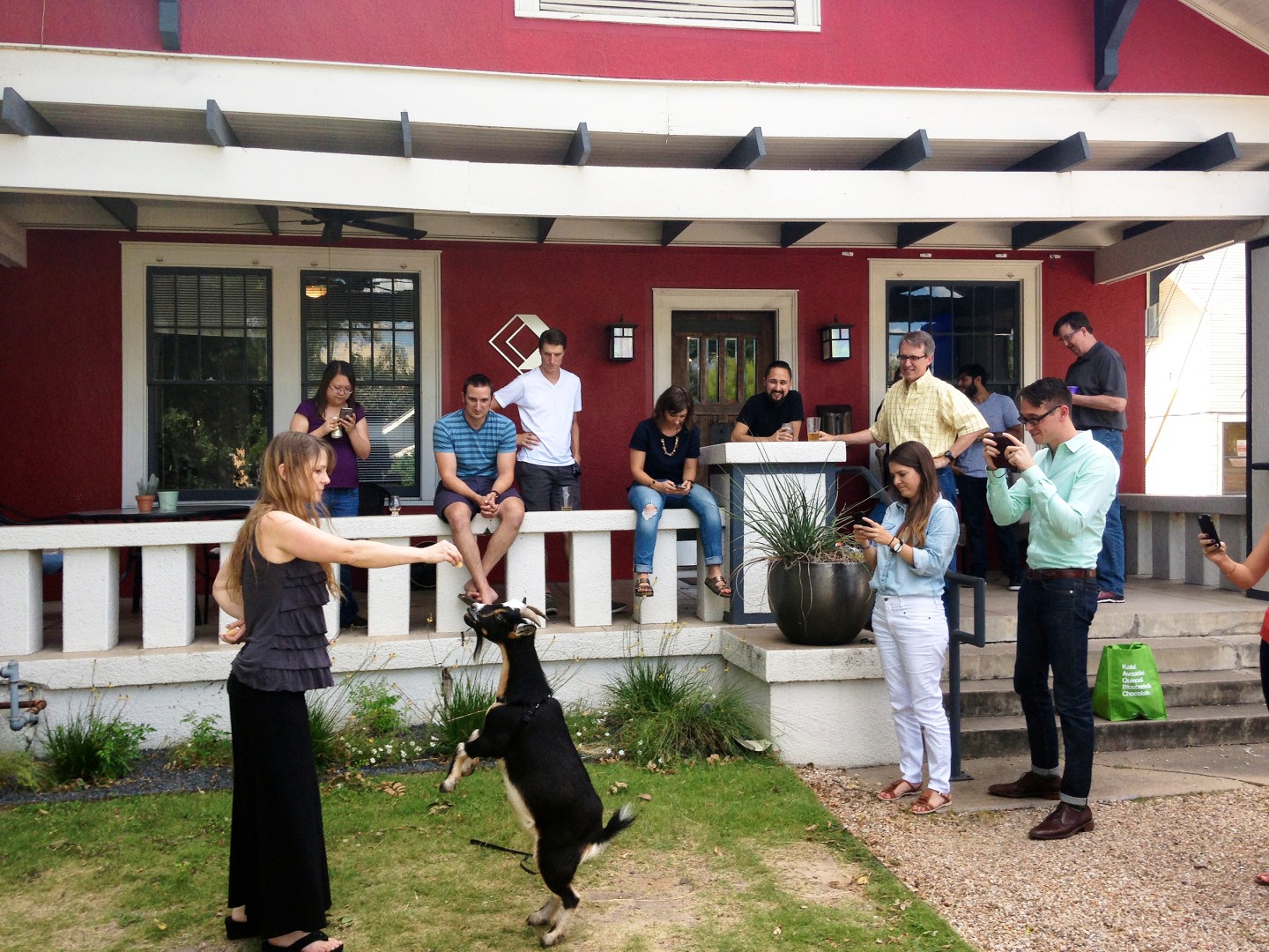 A goat-loving startup in Austin is shepherding talent with great culture