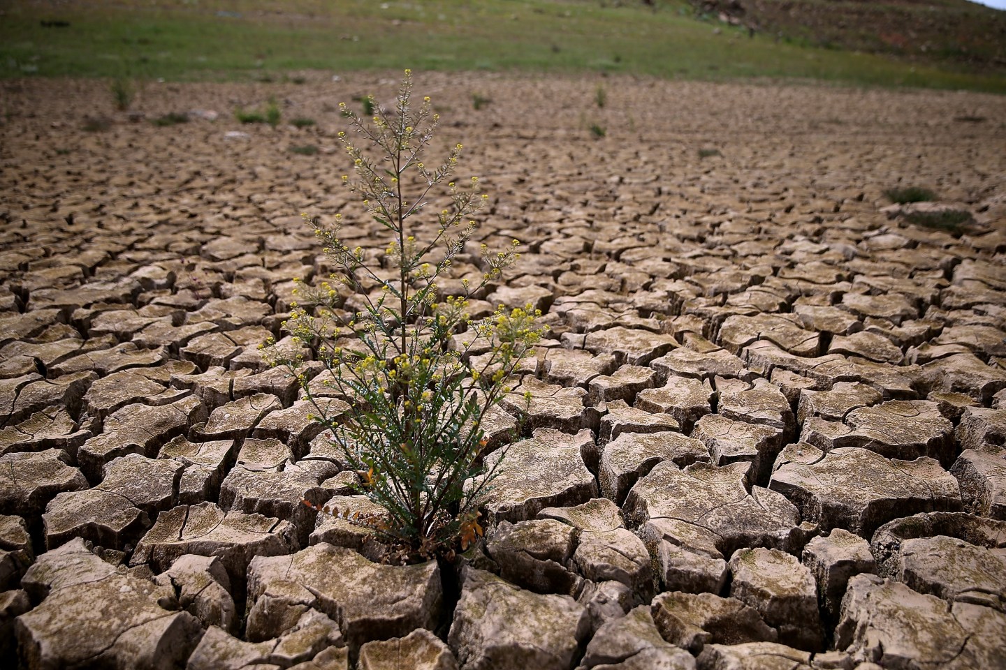 Drought-Stricken California Community Close To Running Out Of Water