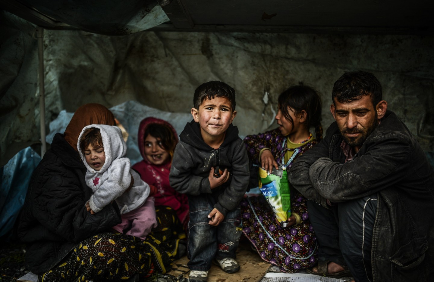 All of These States Are Welcoming Refugees