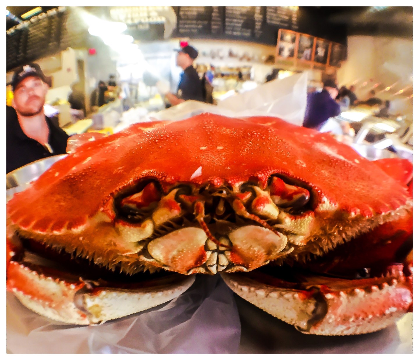 Fresh Fish