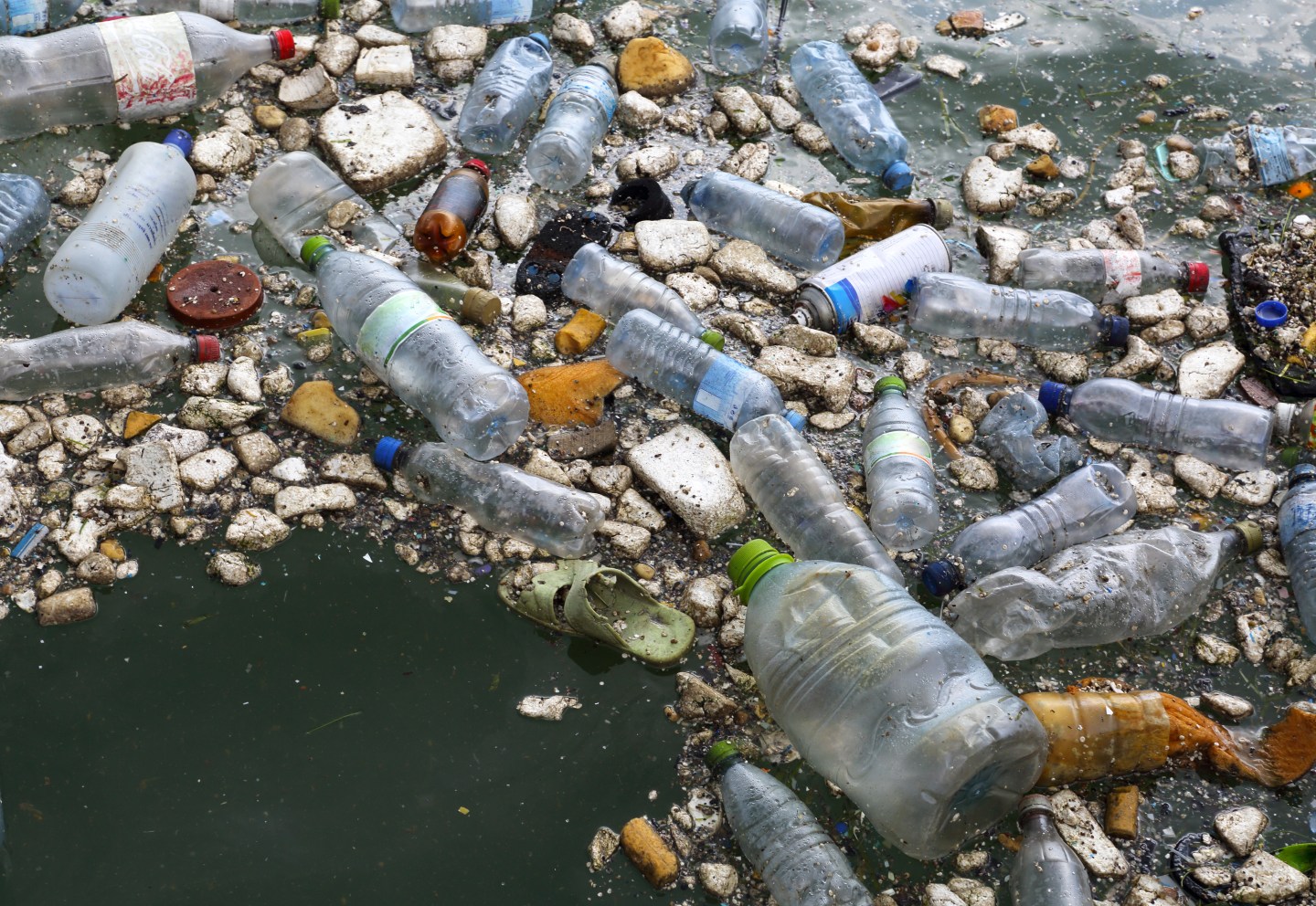 Polluted Waters
