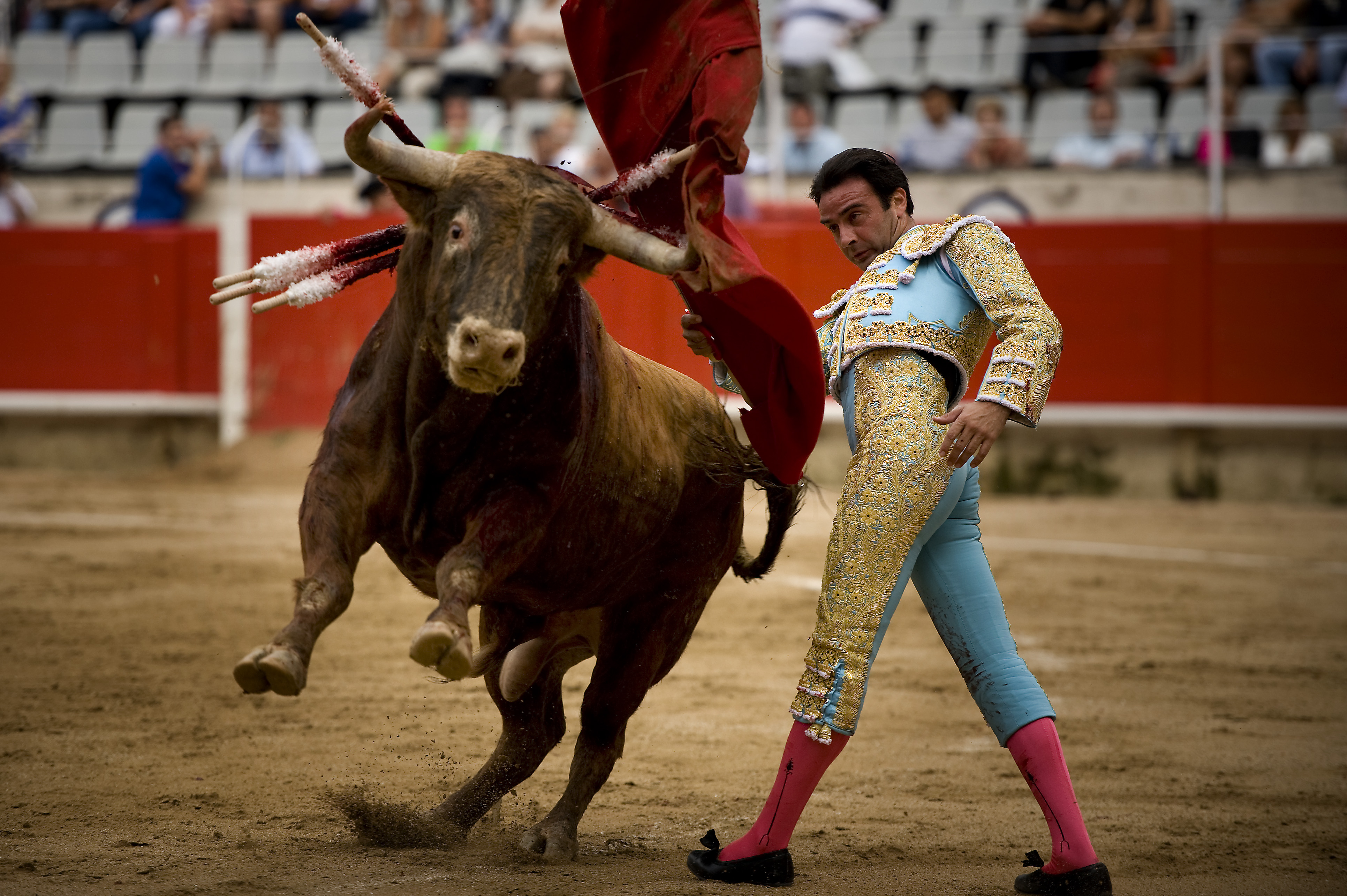 Bullfights in Barcelona 2011: Enrique Ponce, Morante de la Puebla and Serafin Marin