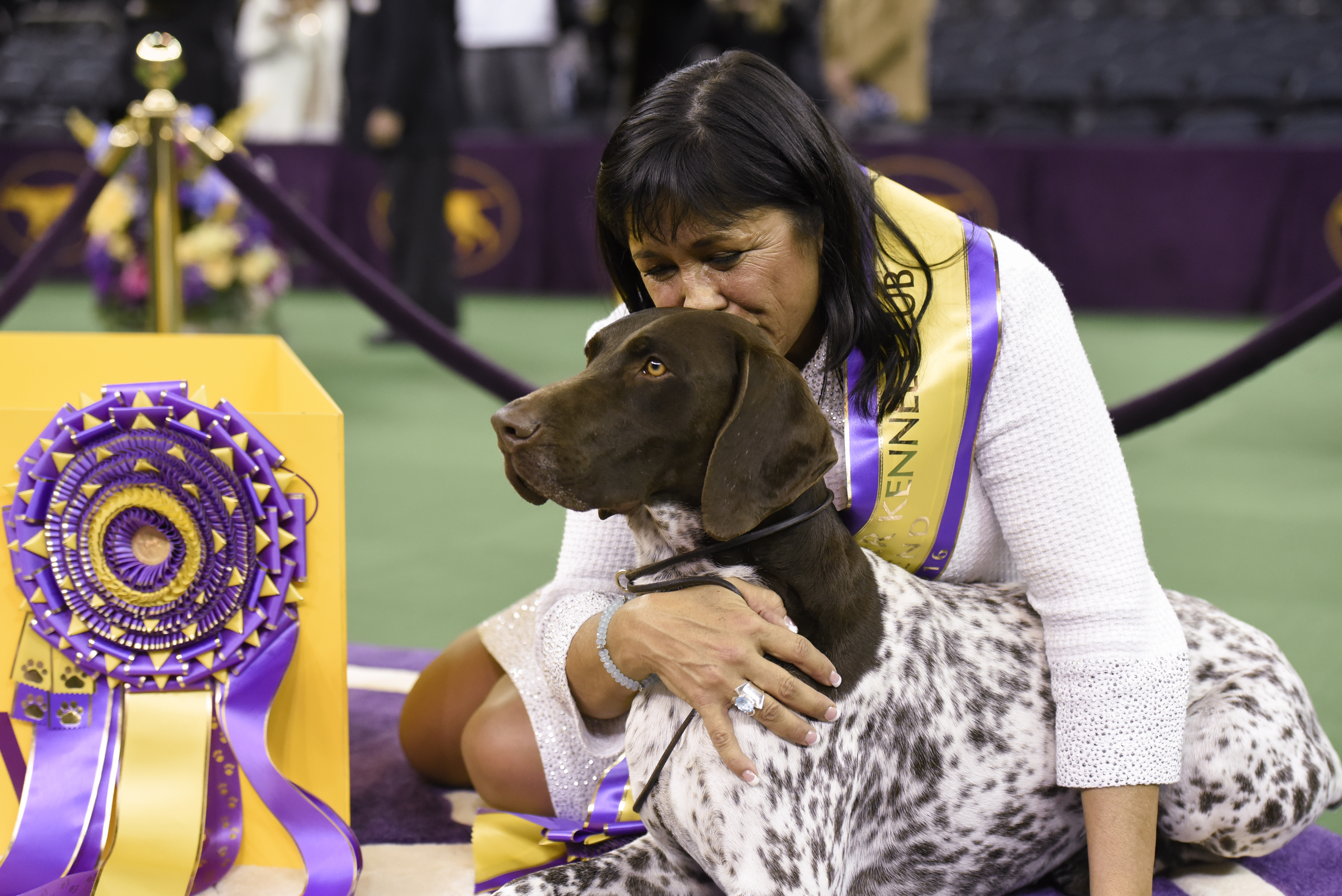 2016 Westminster Kennel Club Dog Show