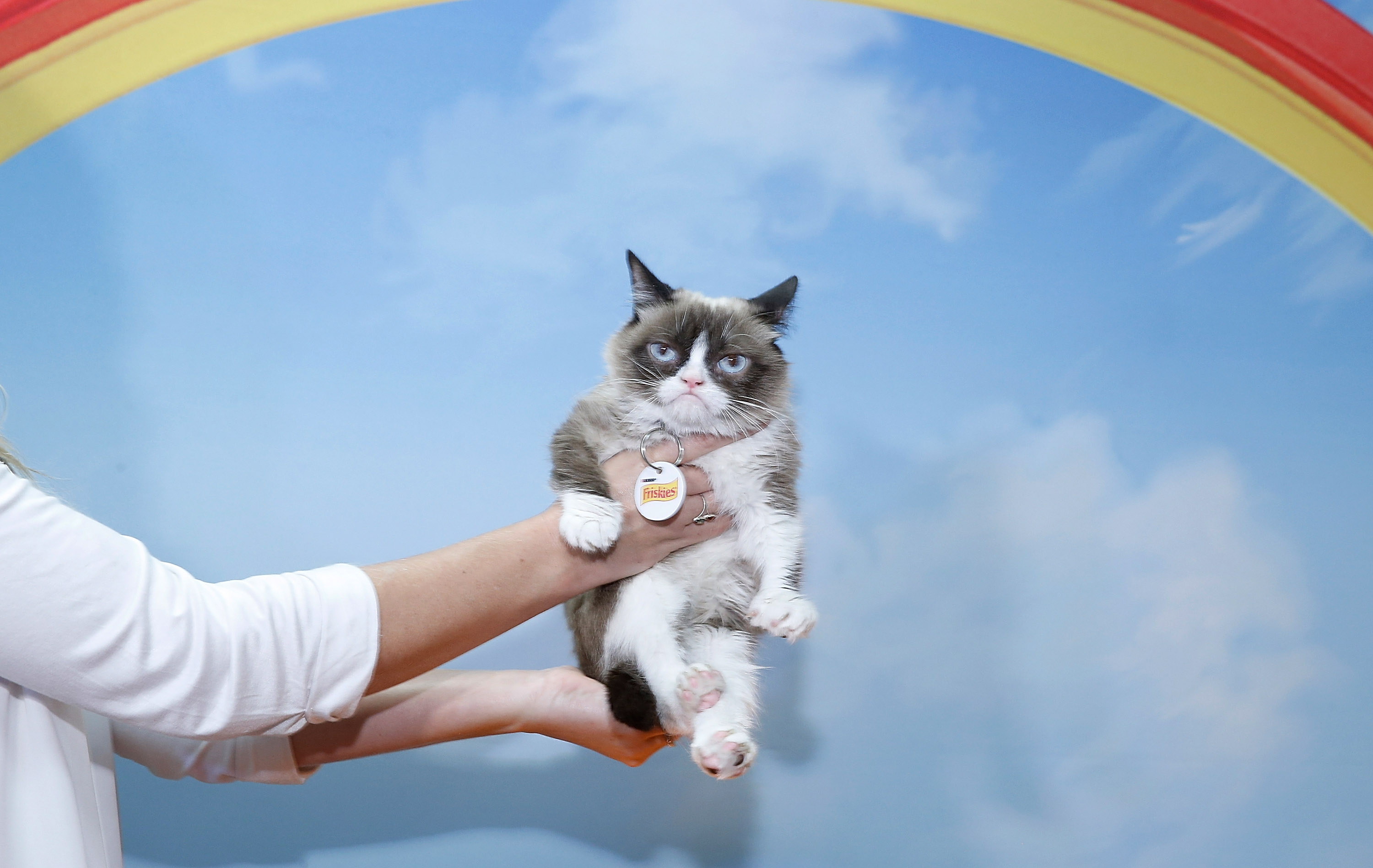 Friskies Create & Taste Kitchen Press Preview