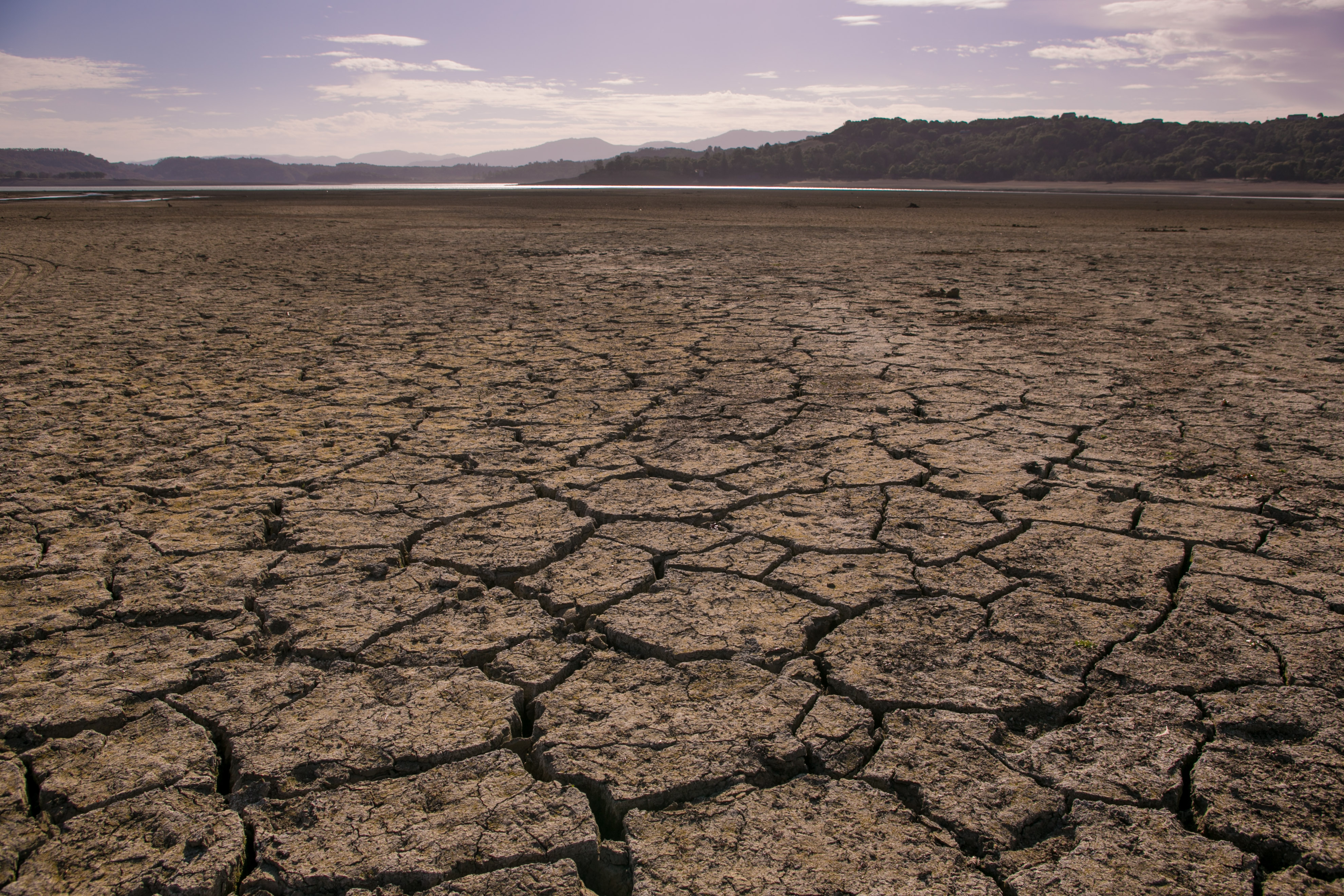 California's Drought Becomes Critical