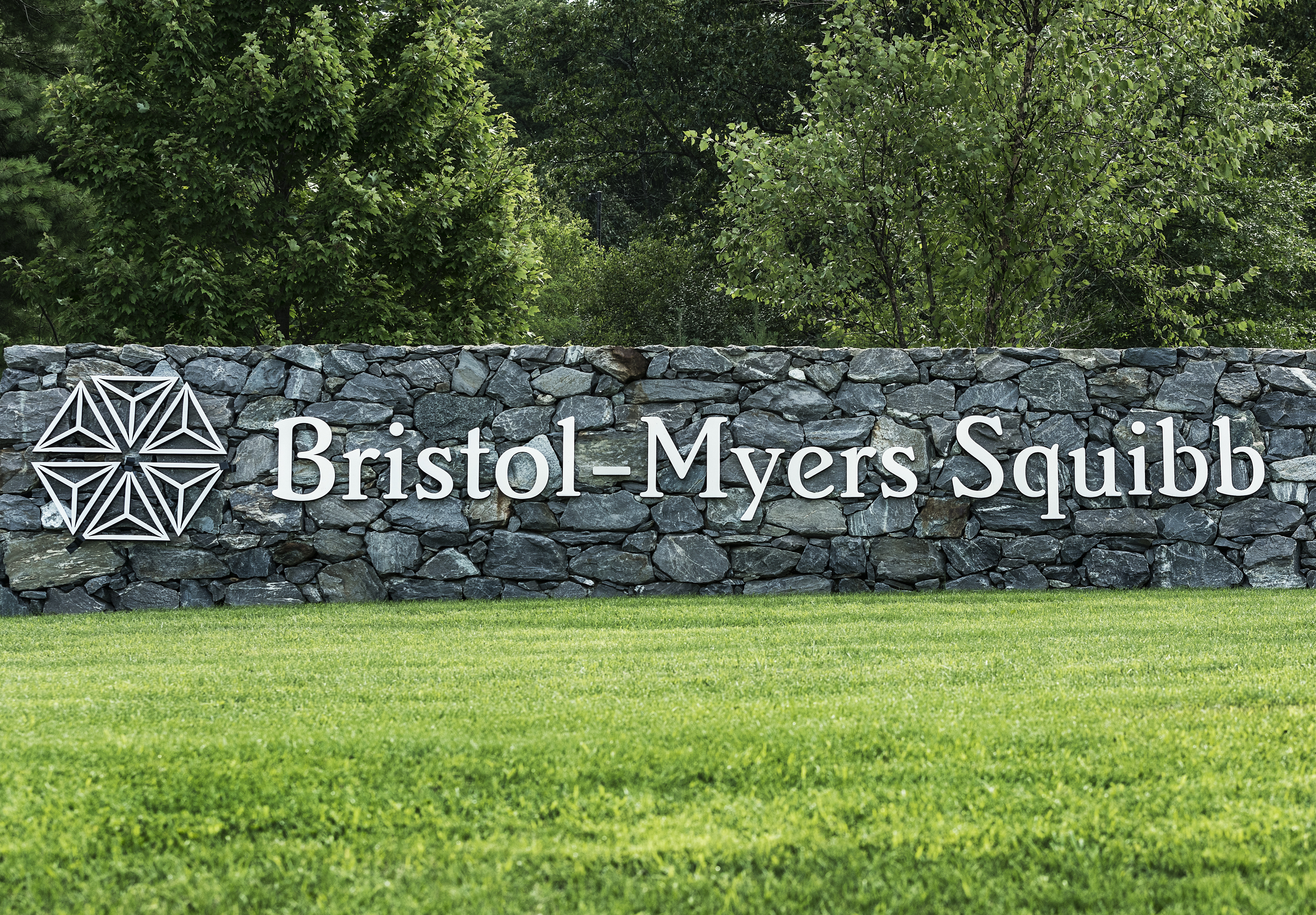 Bristol-Myers Squibb corporate and R &amp; D offices