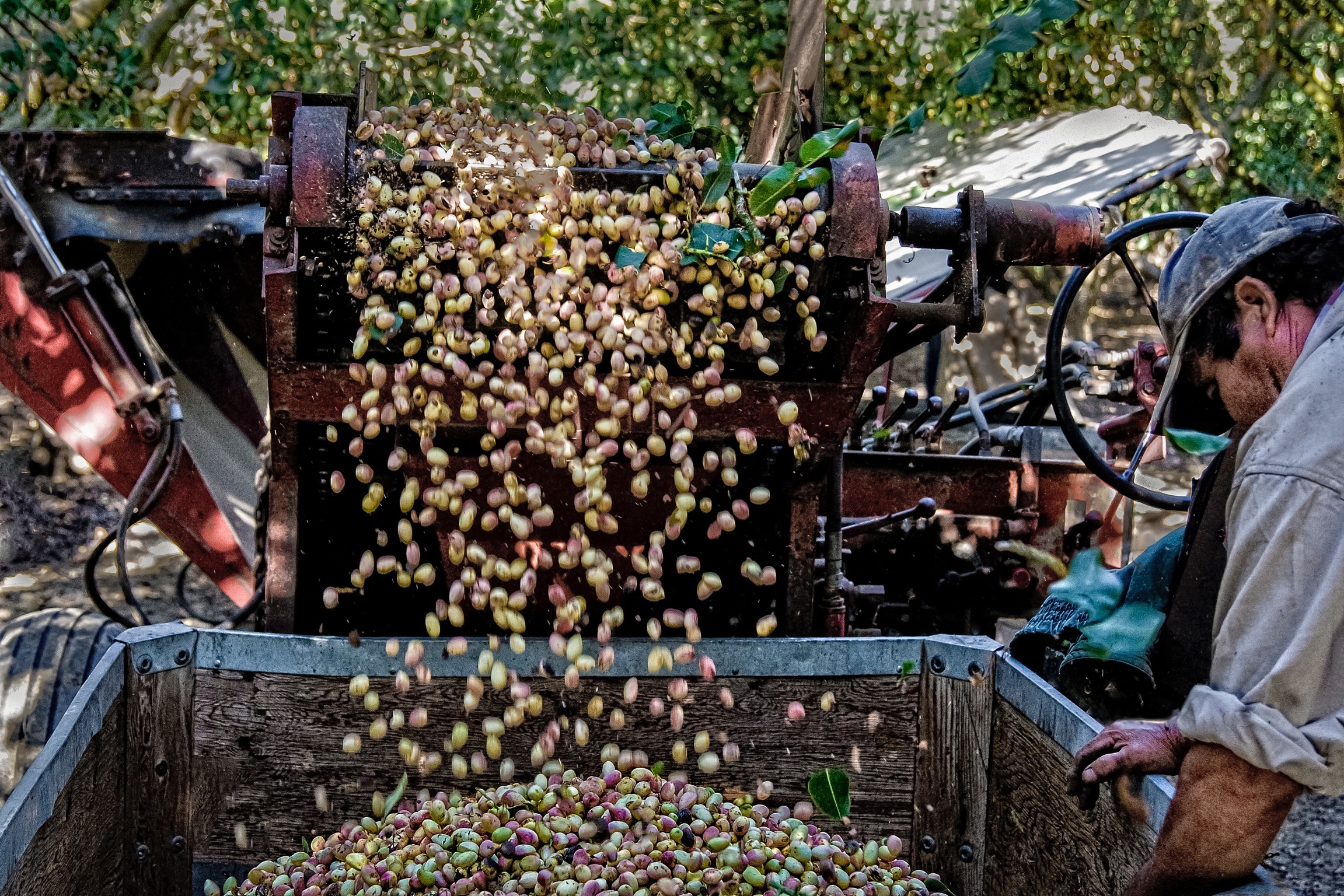 Agriculture Tech