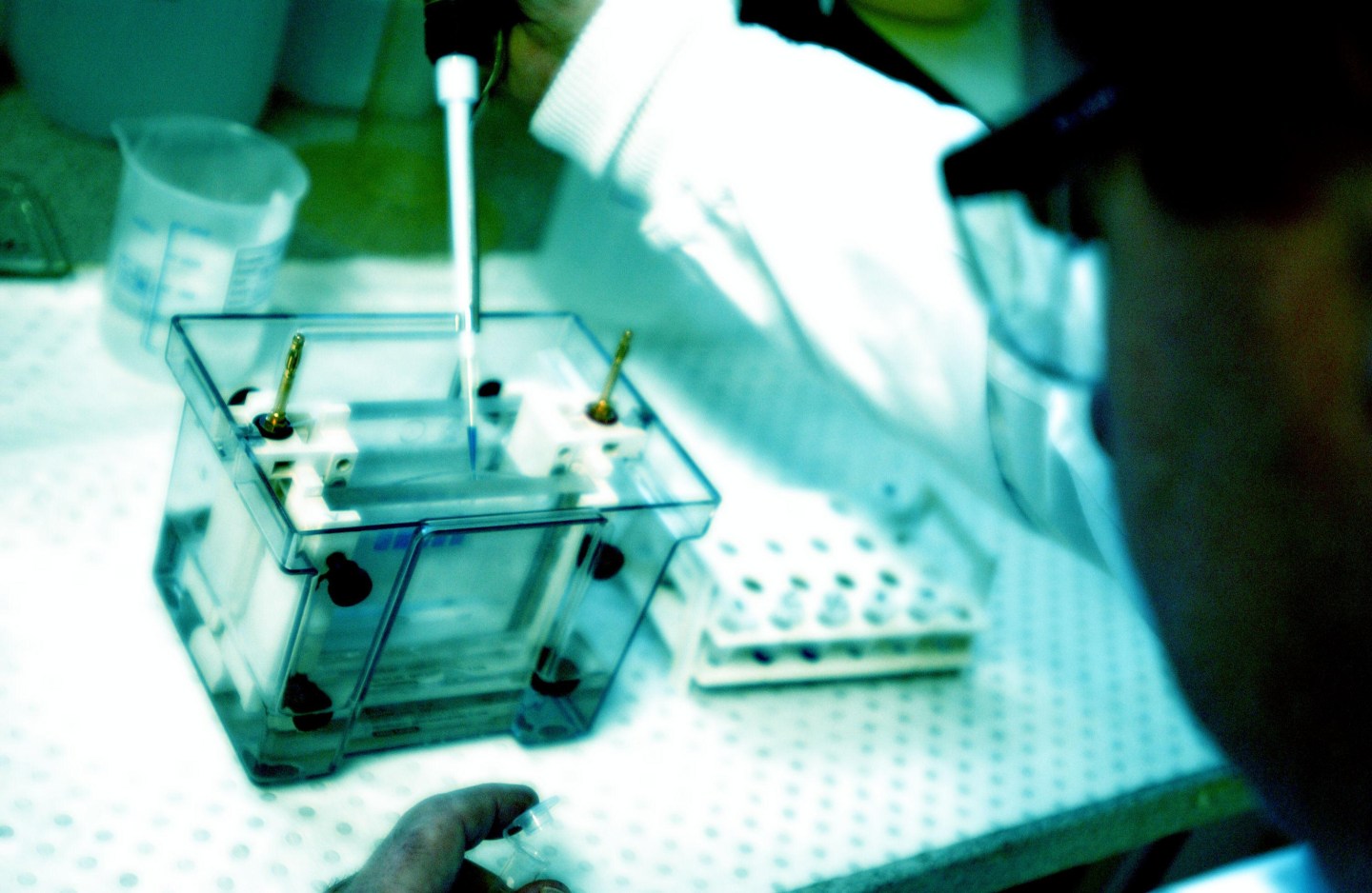 The 5 Best Performing Biotech Stocks in 2016