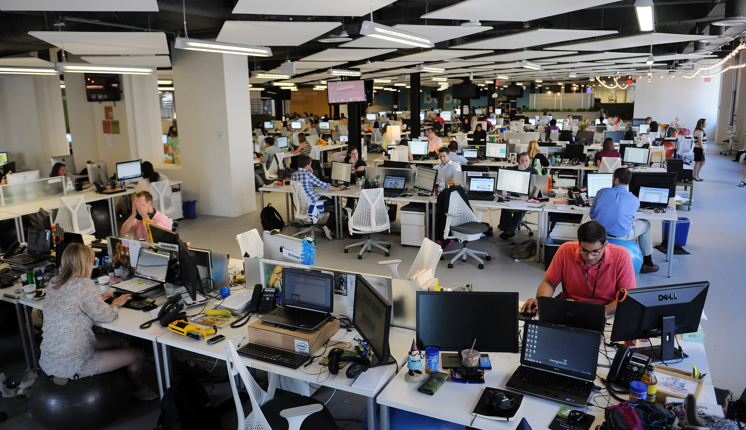 Visual profile on the company Livingsocial.