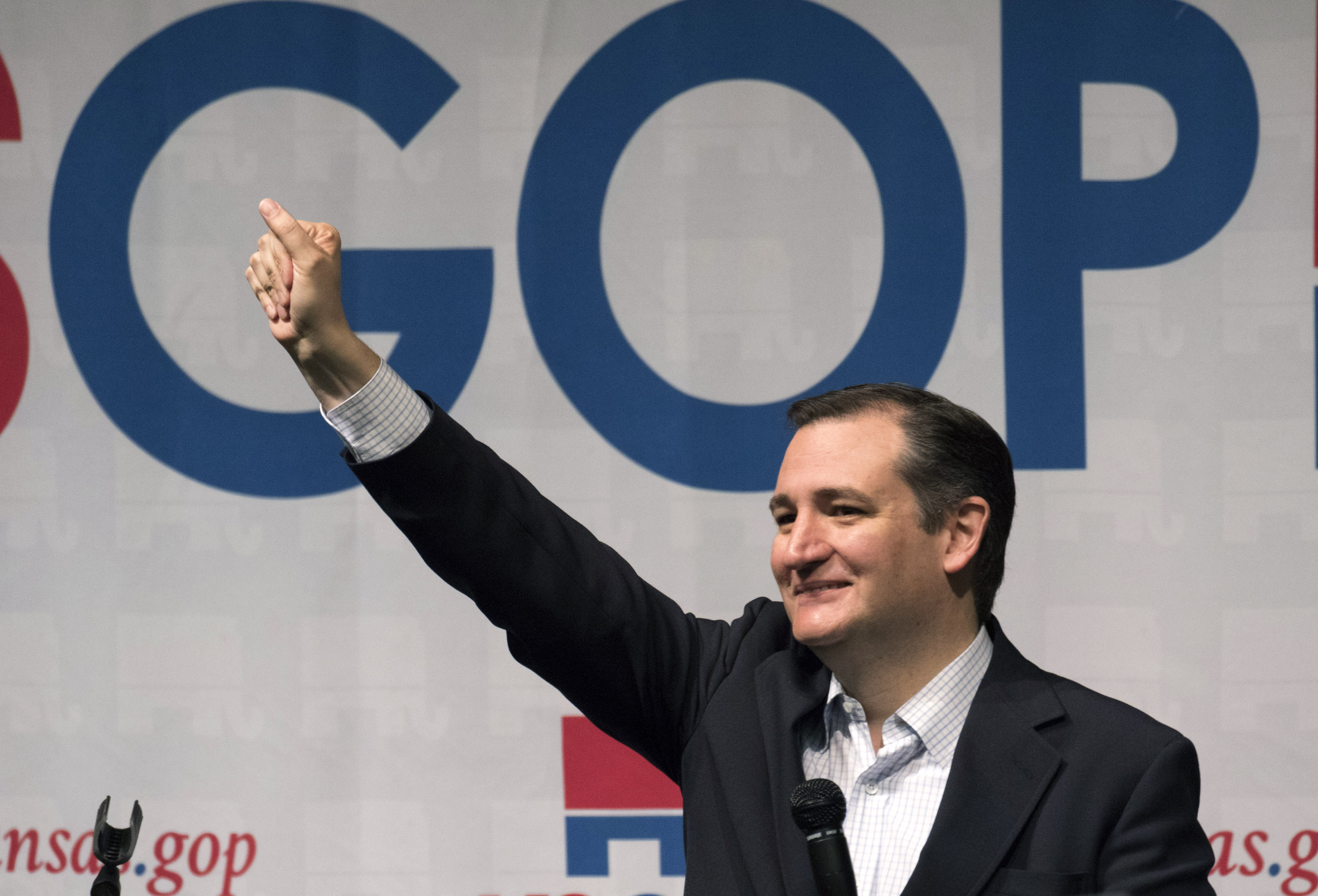 WICHITA, KS - MARCH 5: Republican presidential candidate Ted Cruz makes a speech at a campaign rally on March 5, 2016 in Wichita, Kansas. Cruz said he has a list of government programs that he will eliminate if elected. (Photo by J Pat Carter/Getty Images)