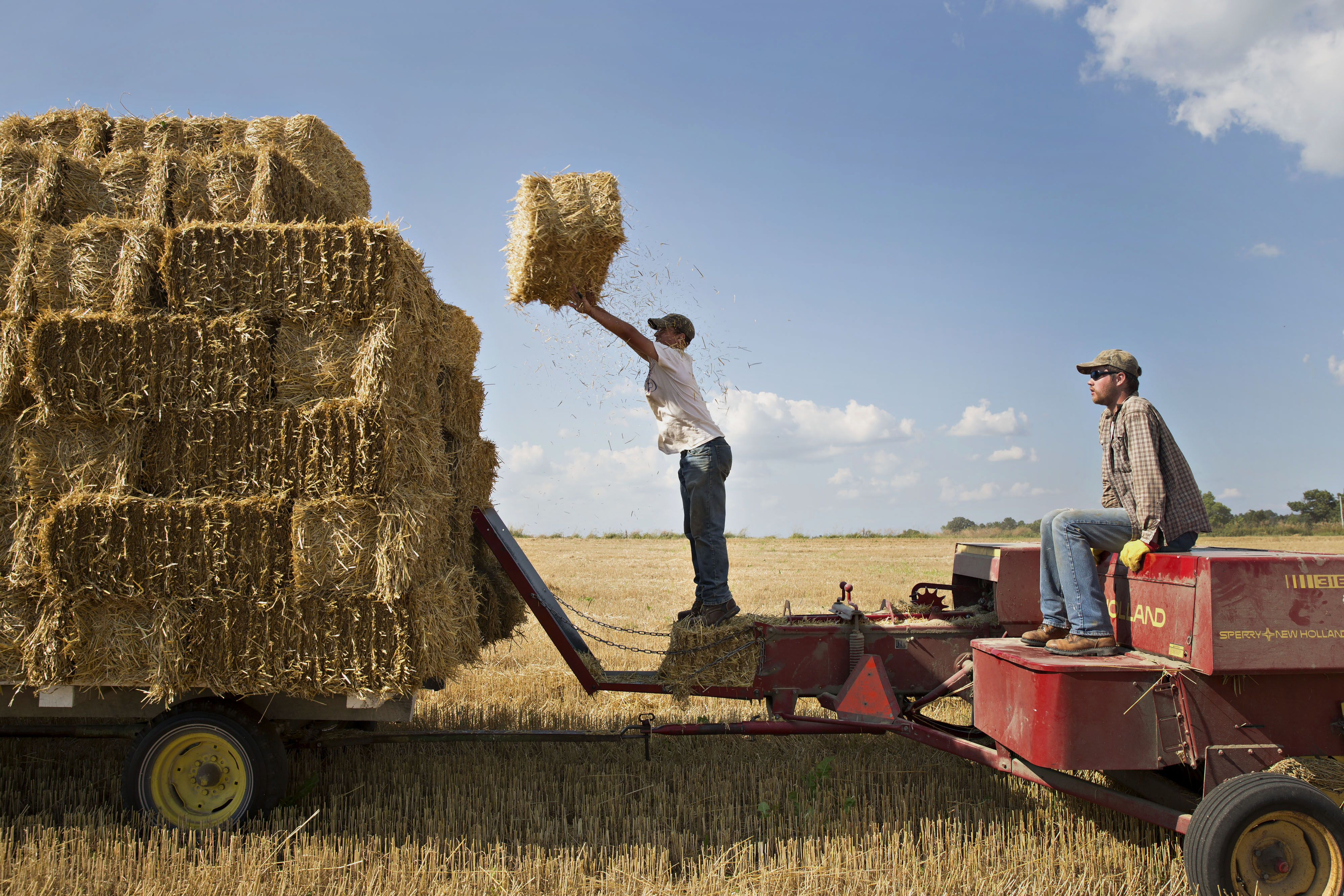 Farm hands stack bales of straw as they are collected in a field of where soft red winter wheat had been harvested in Kirkland, Illinois, U.S., on Thursday, July 23, 2015. Photographer: Daniel Acker/Bloomberg
