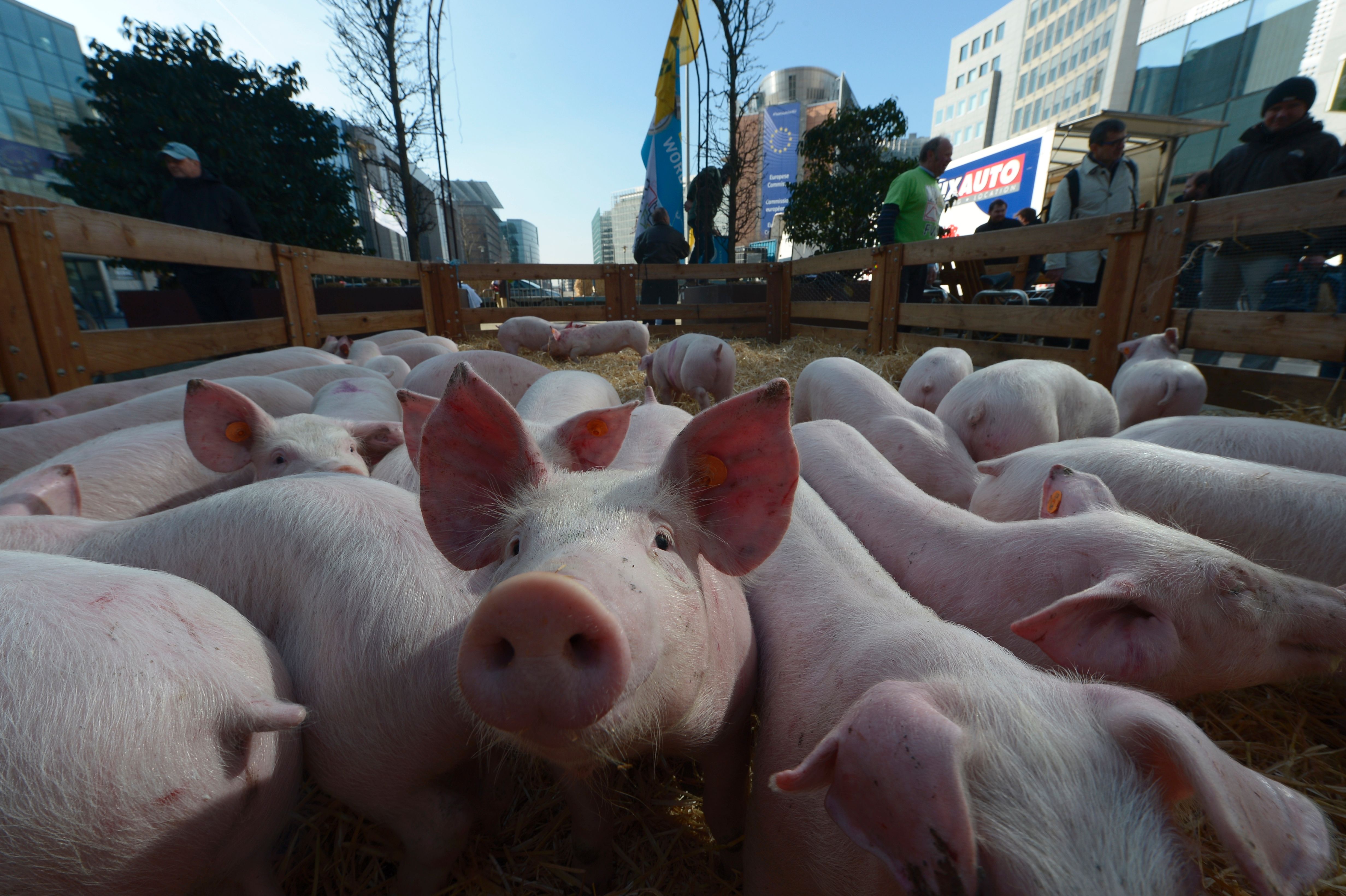 BELGIUM-EU-AGRICULTURE-POLITICS