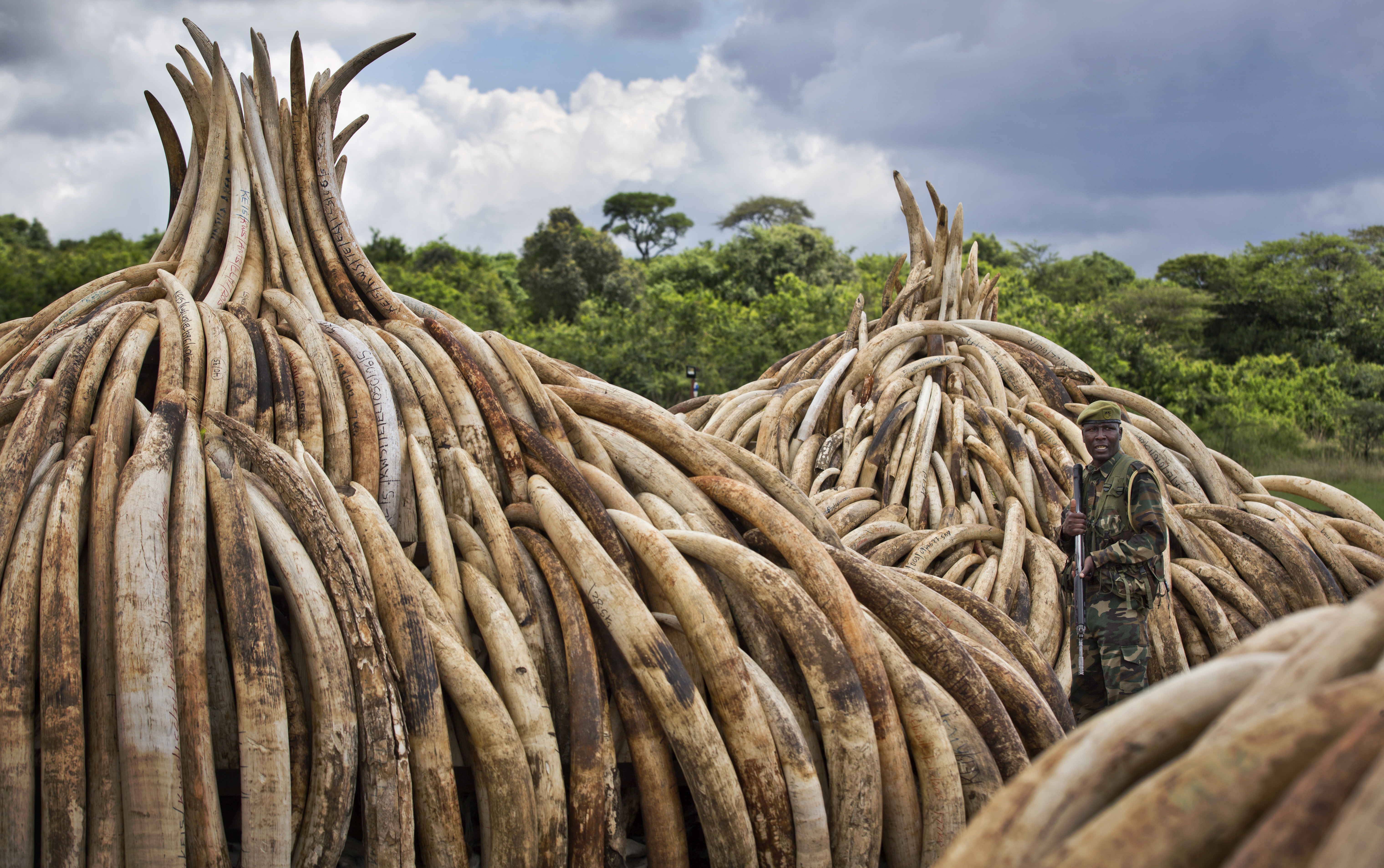 APTOPIX Kenya Ivory Burning