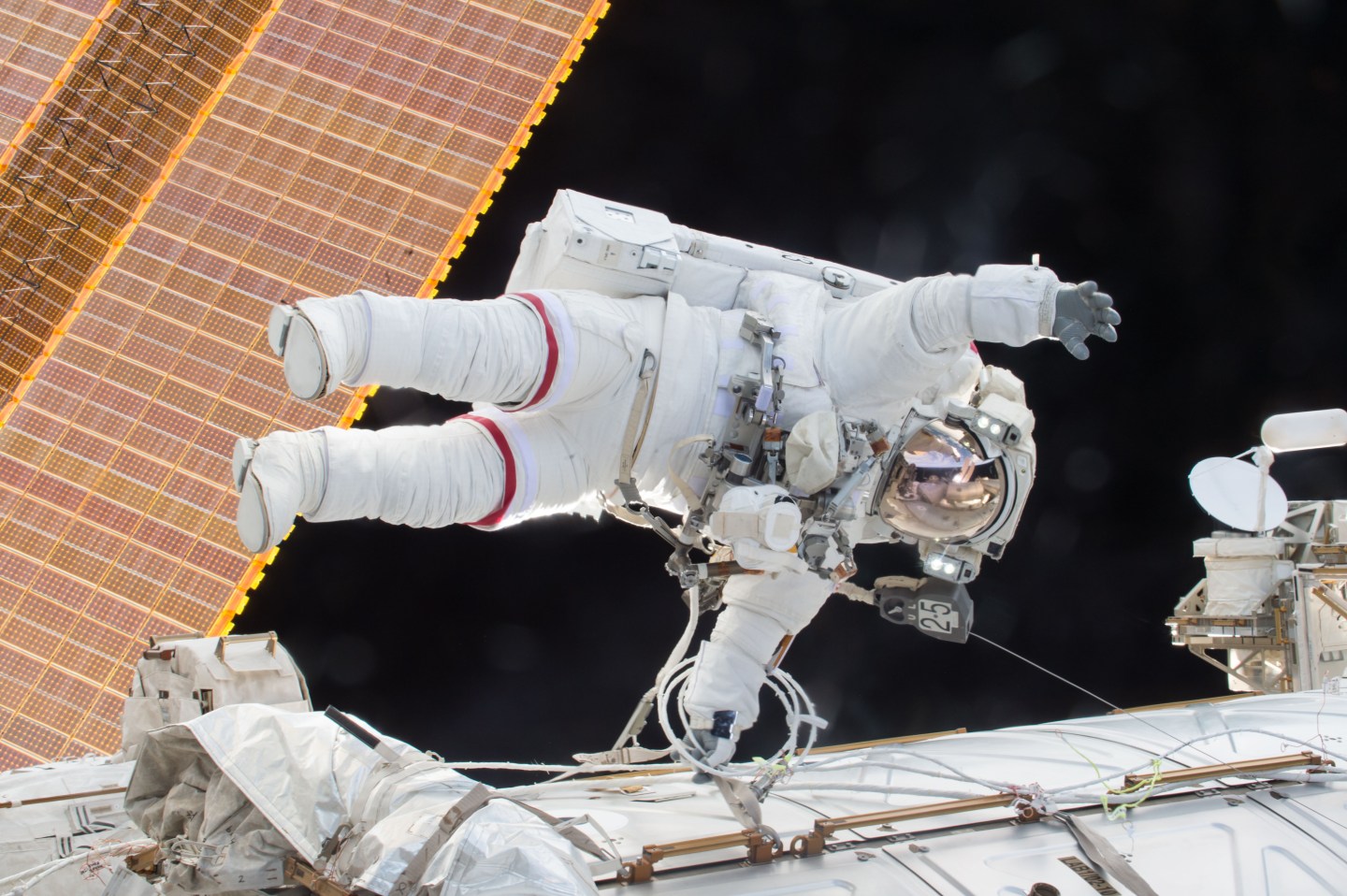 In Focus: Scott Kelly's Year In Space