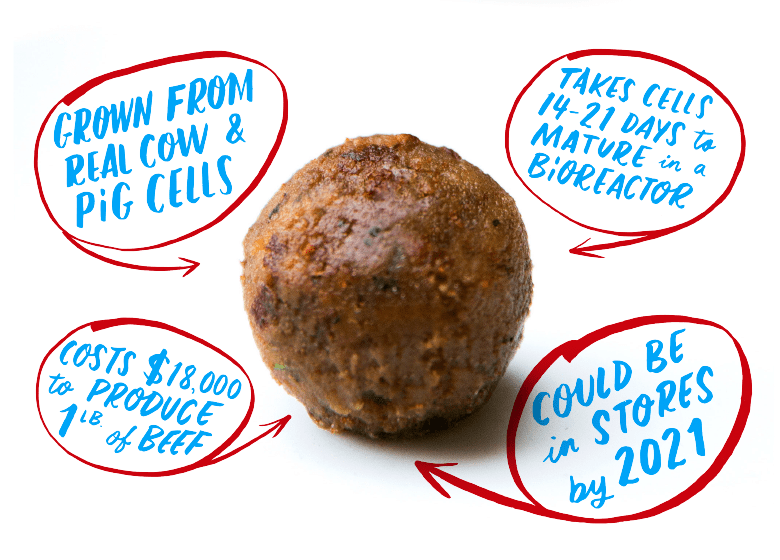 The Hottest Tech in Silicon Valley Made This Meatball