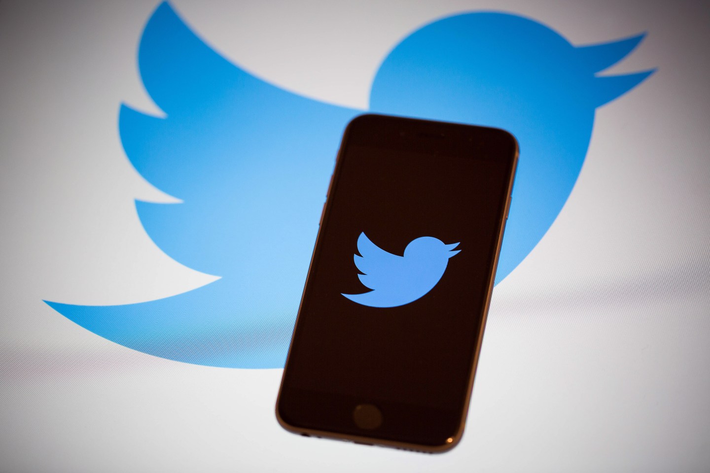 Have Twitter’s Commerce Efforts Flown the Coop?