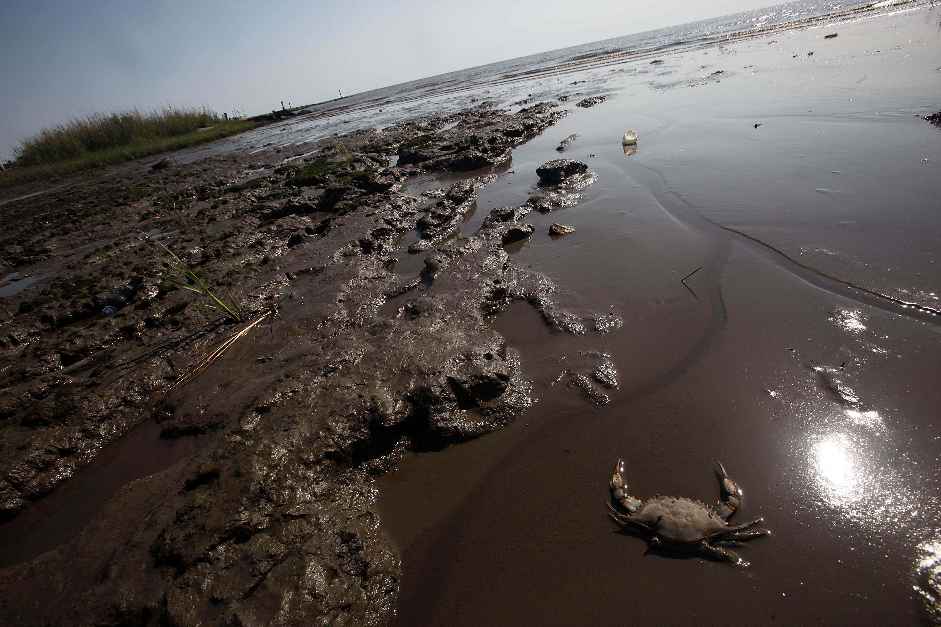 One Year Anniversary Of BP Oil Spill Approaches