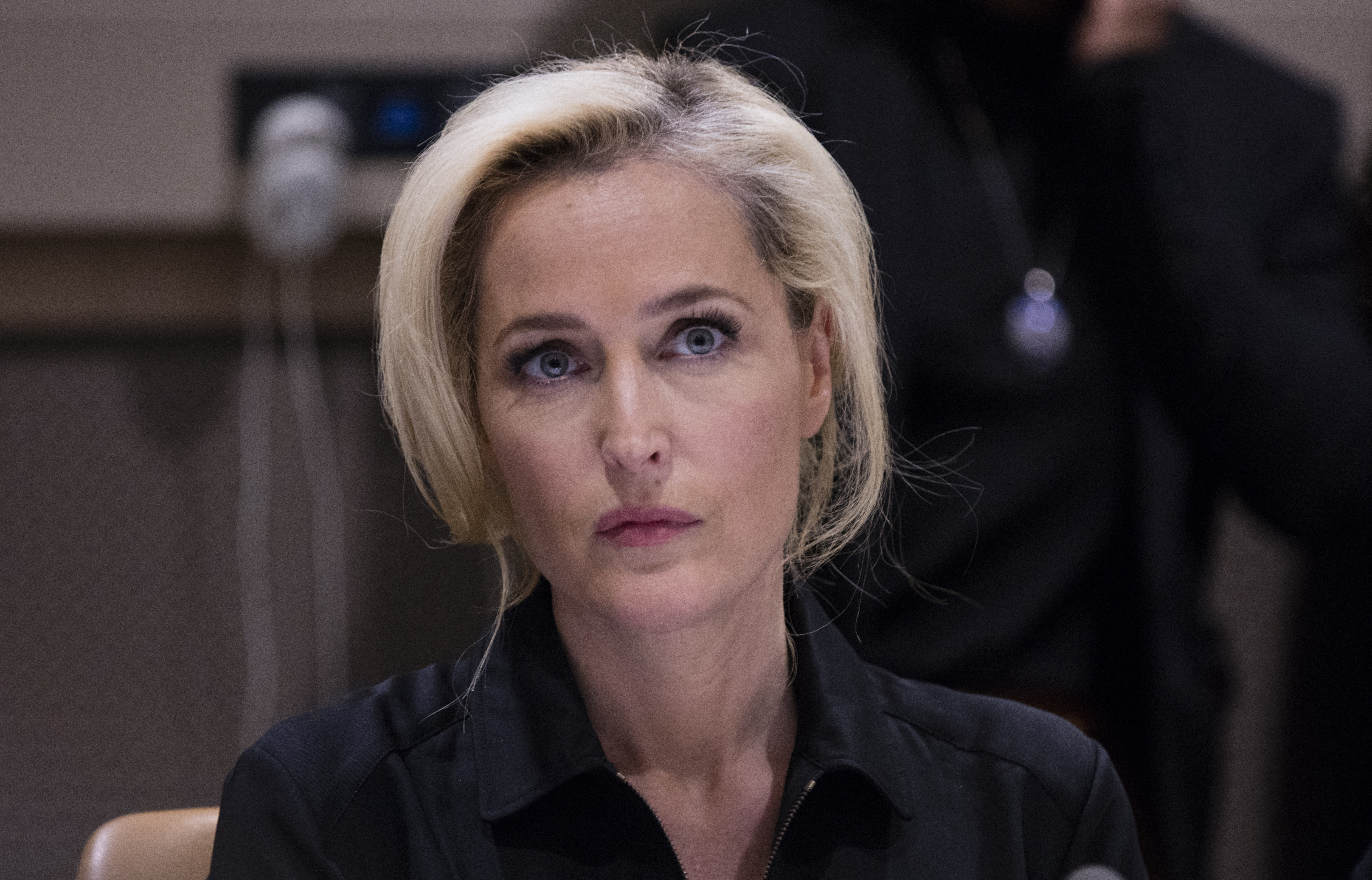 Award-winning actress Gillian Anderson (from the X-Files)