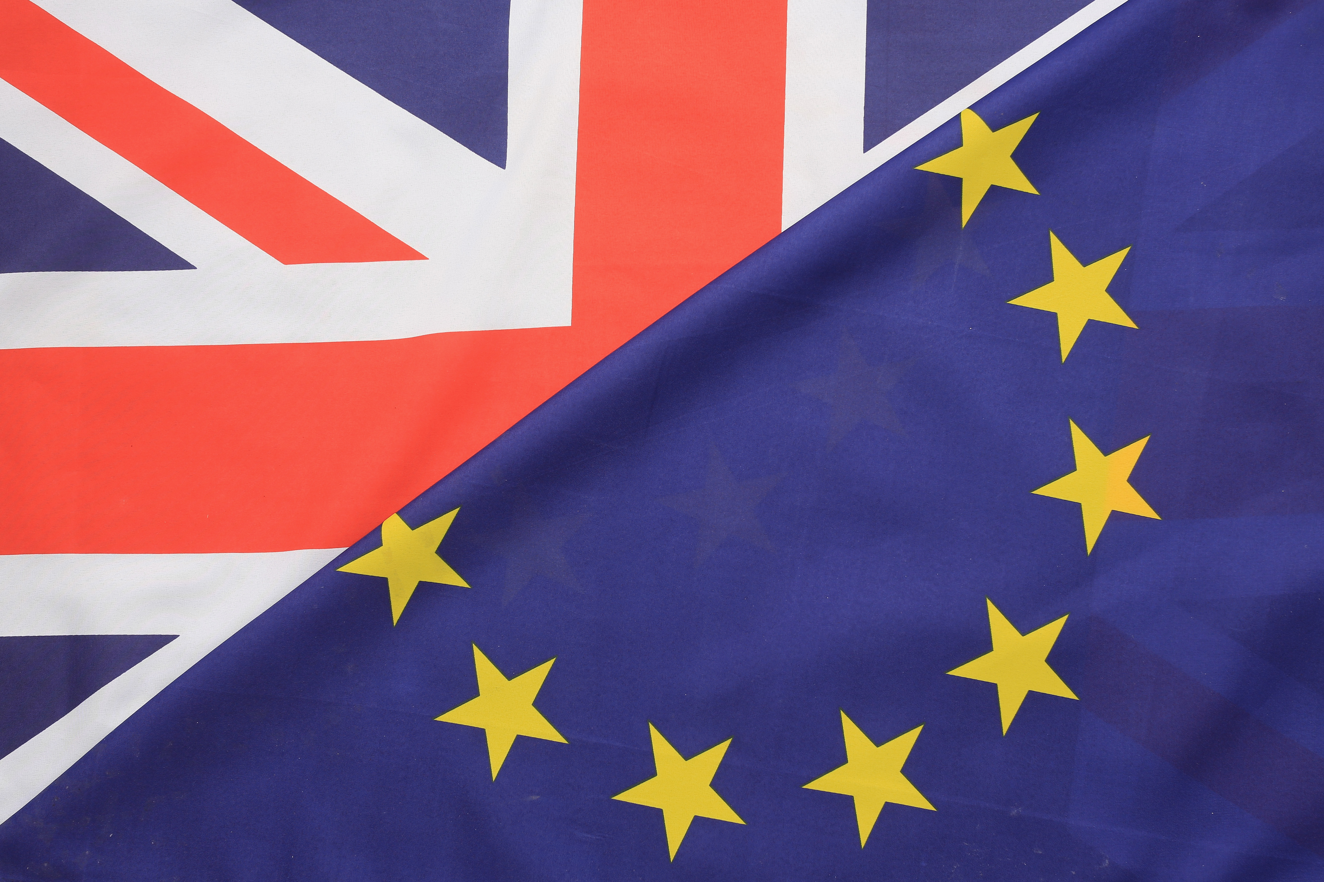 EU Referendum - Signage And Symbols