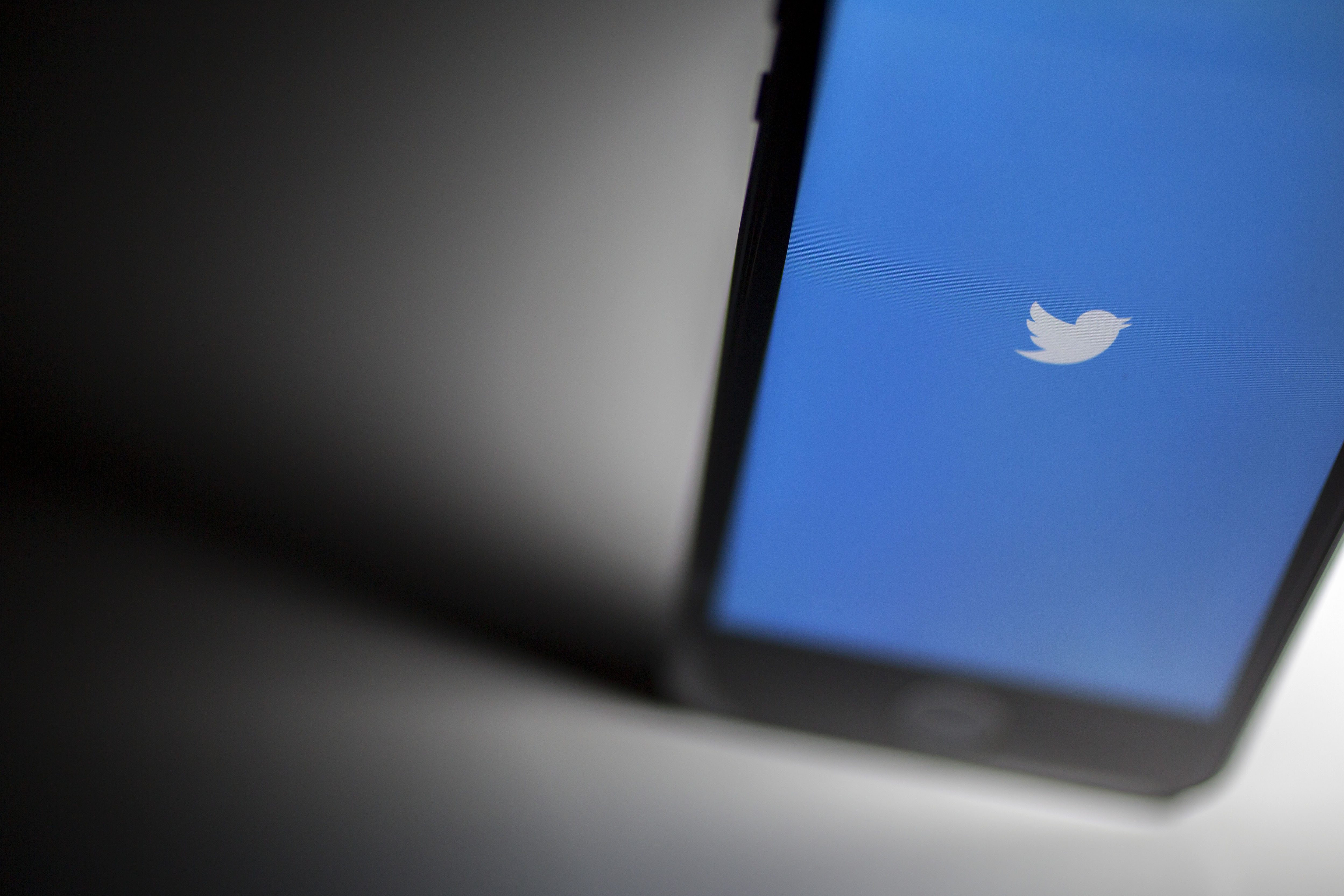 Twitter Illustrations Ahead of Earnings Figures