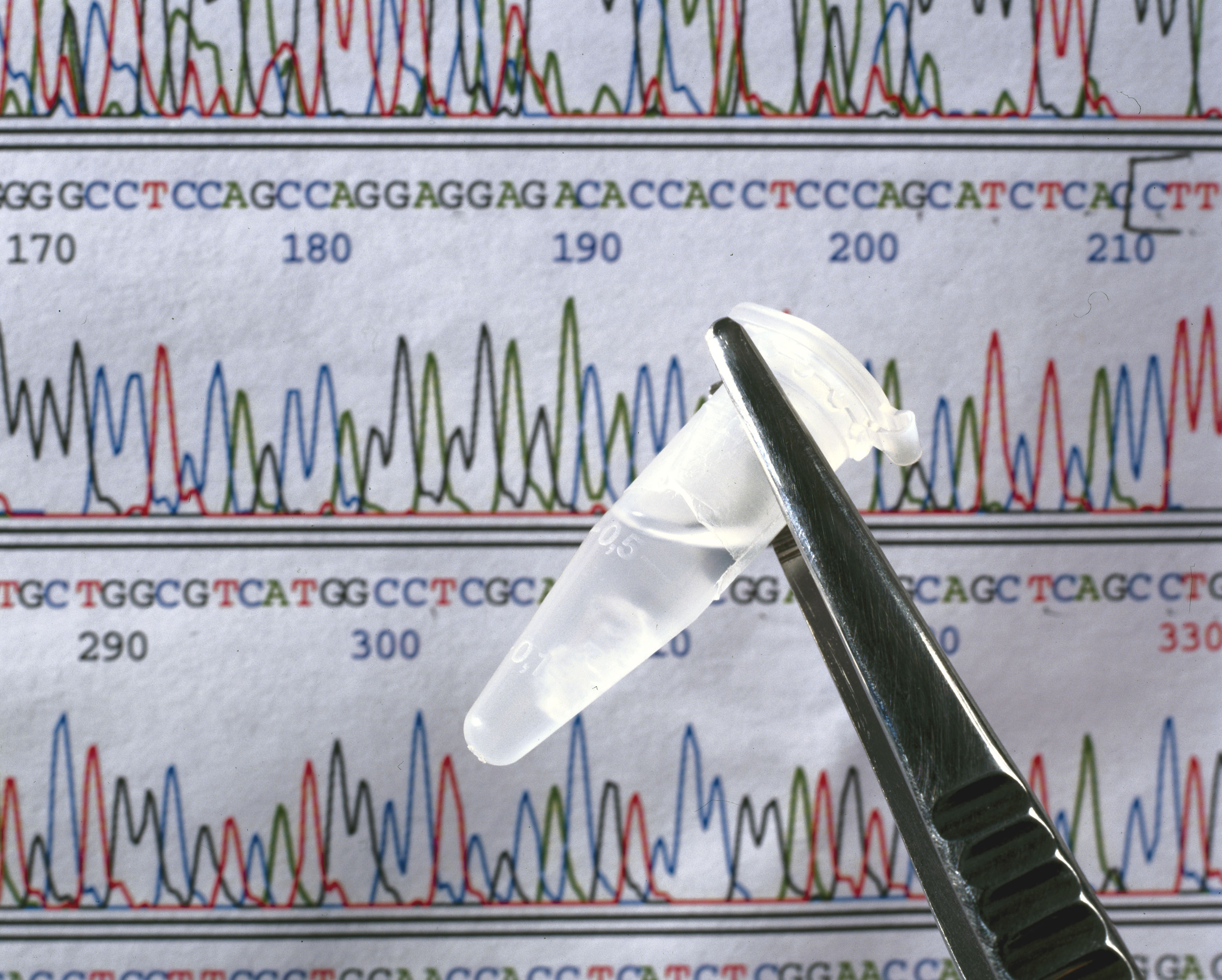 DNA sequence and sample of DNA, September 2000.