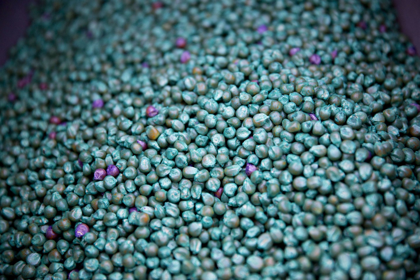 The Most Important Number in Bayer’s New Bid for Monsanto