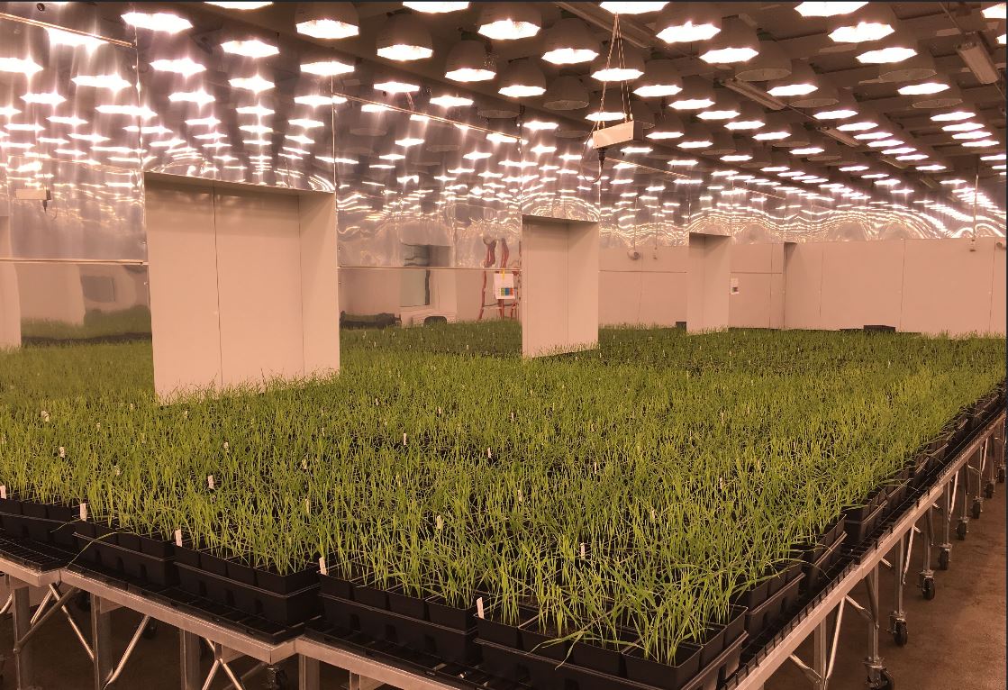 This Bug Startup Just Raised $100 Million To Fight Hunger